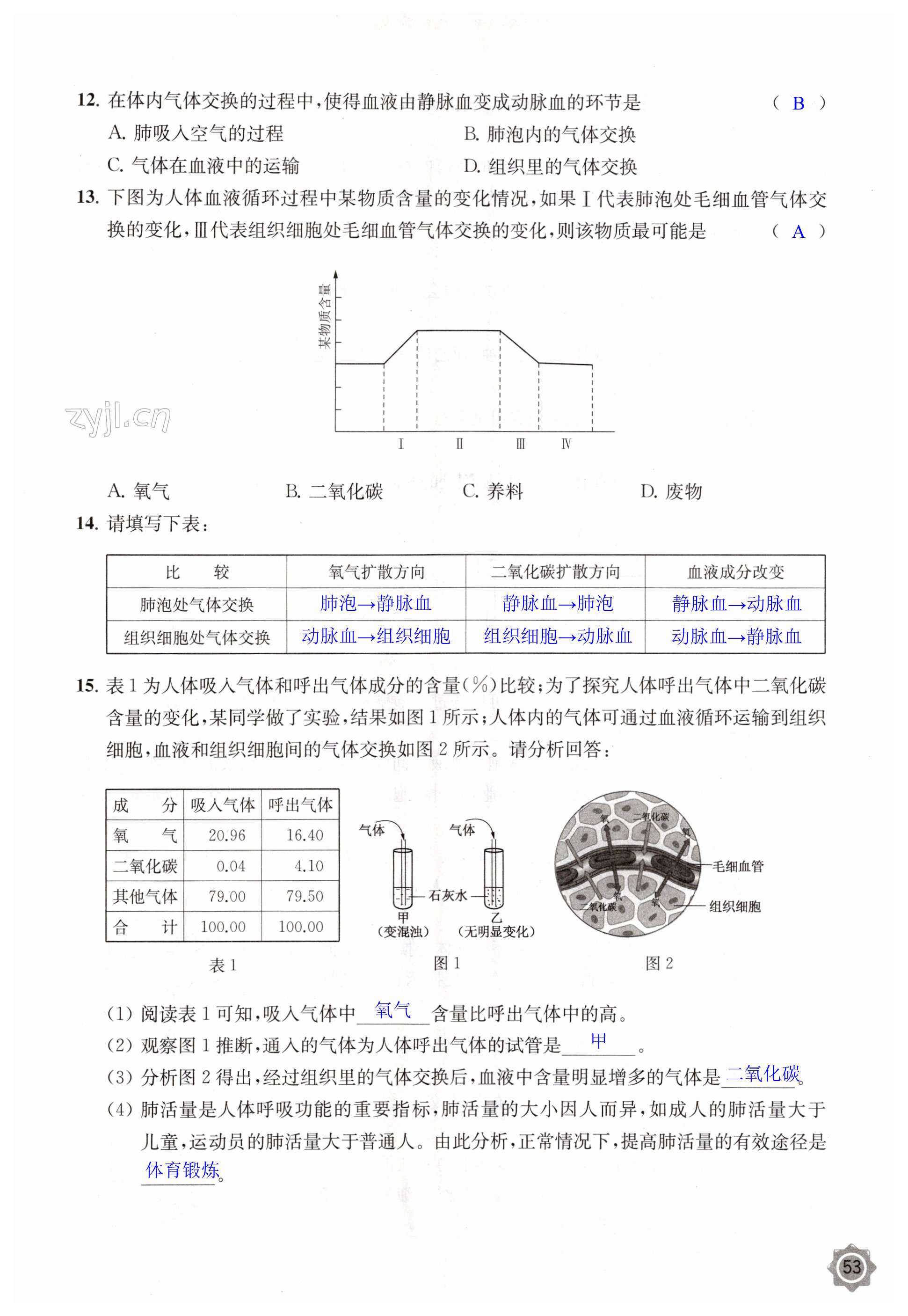 第53頁(yè)