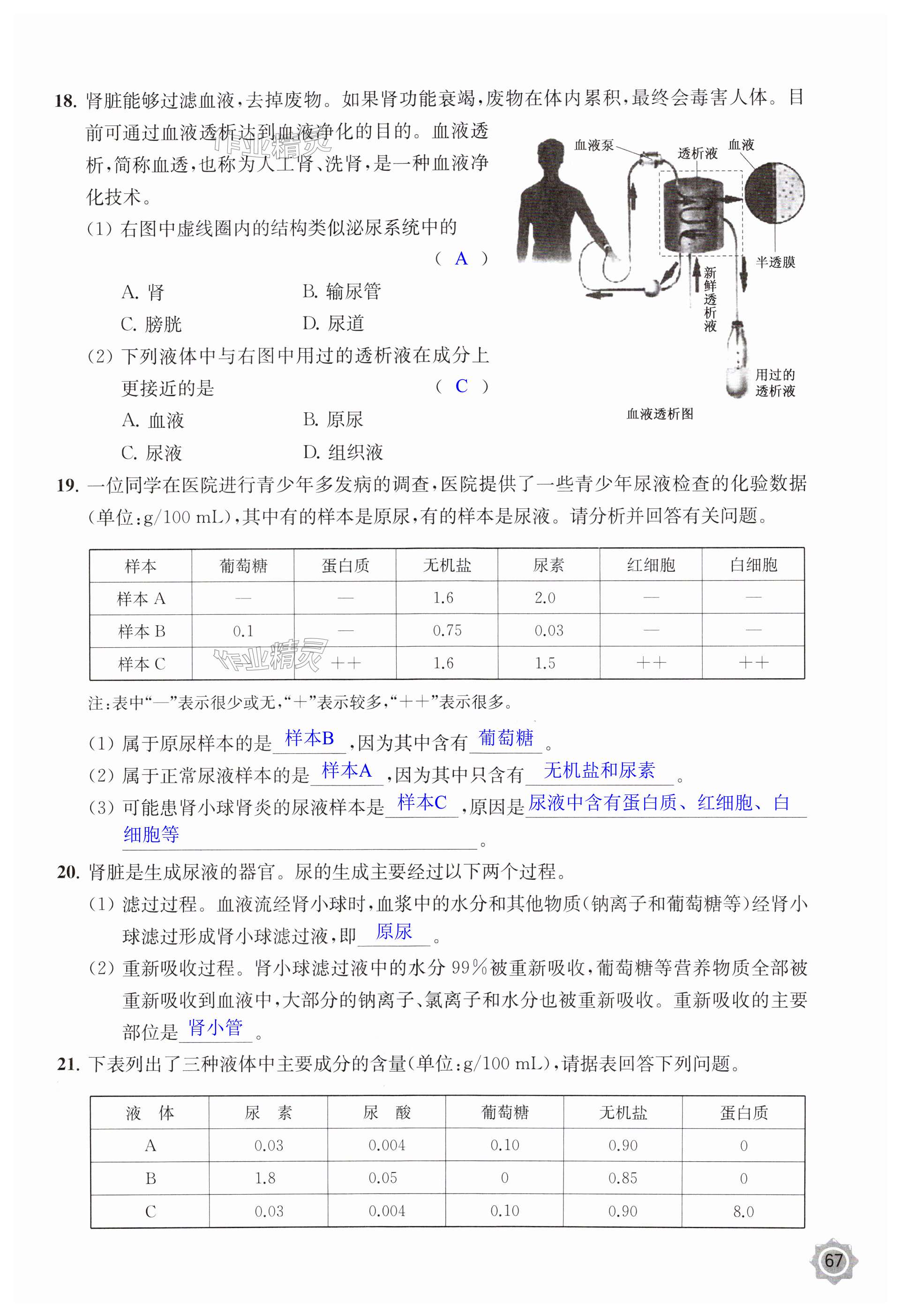 第67頁