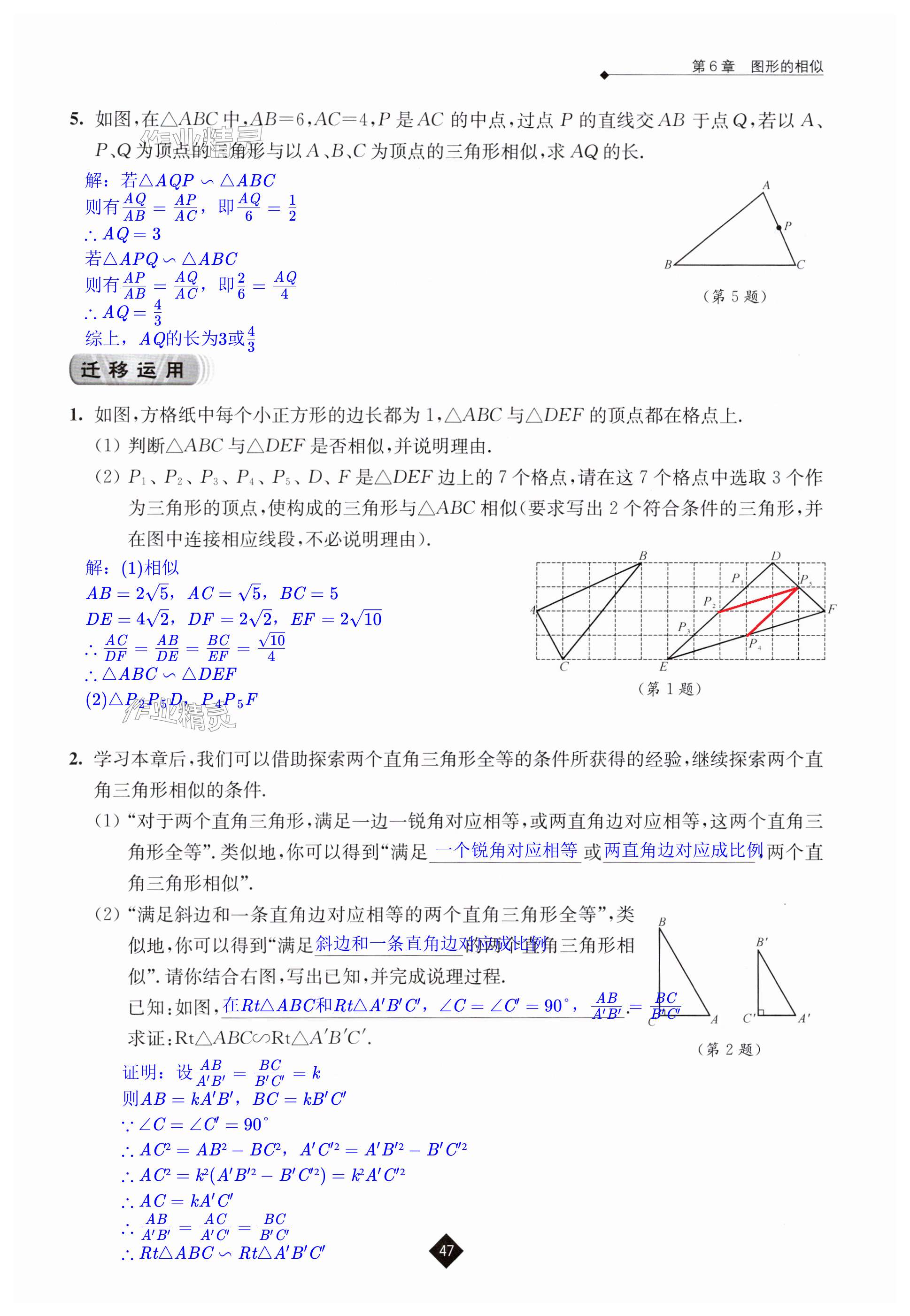 第47頁(yè)