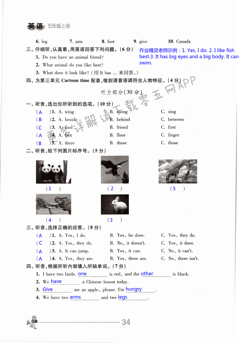 第34页