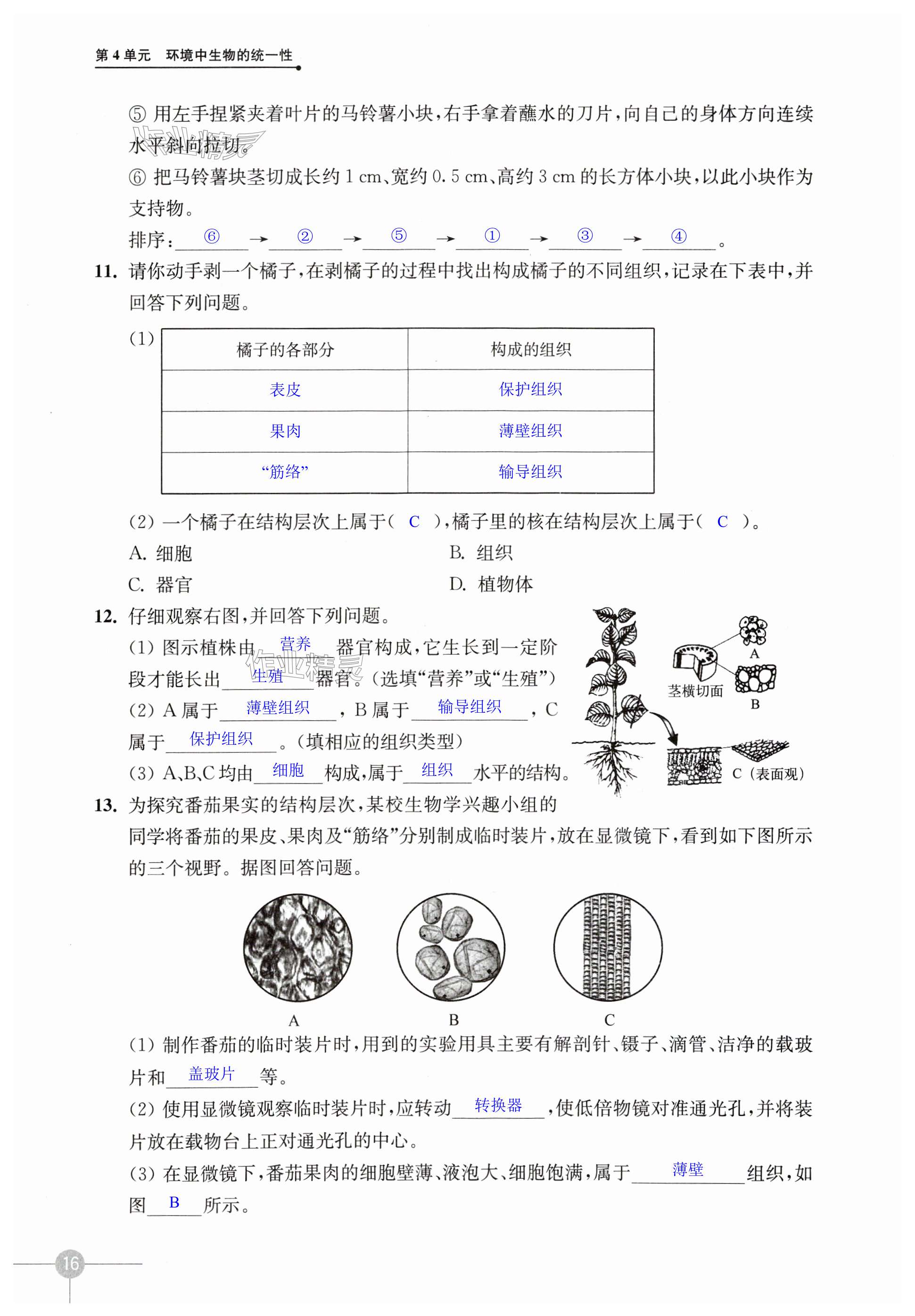 第16頁