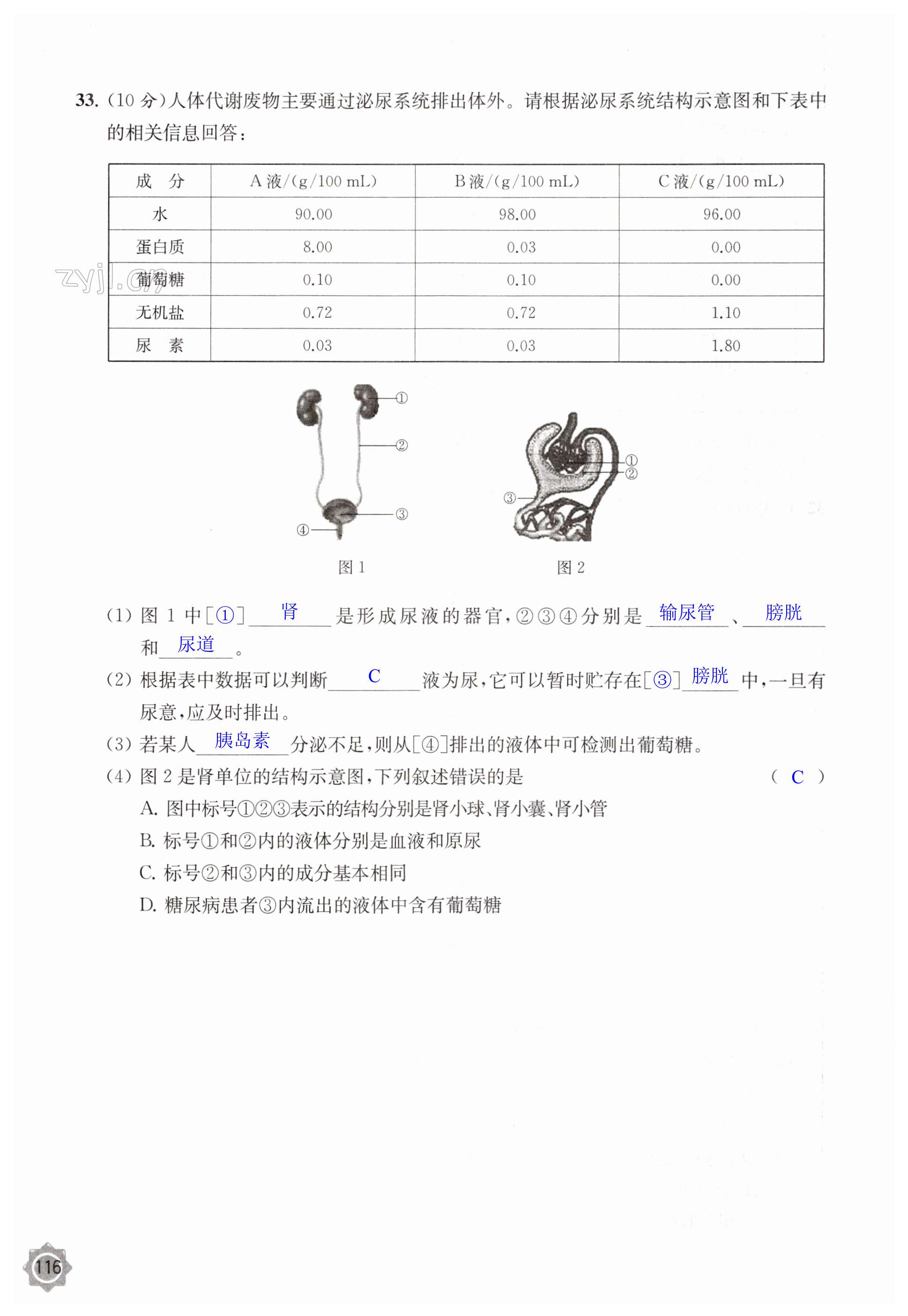 第116頁