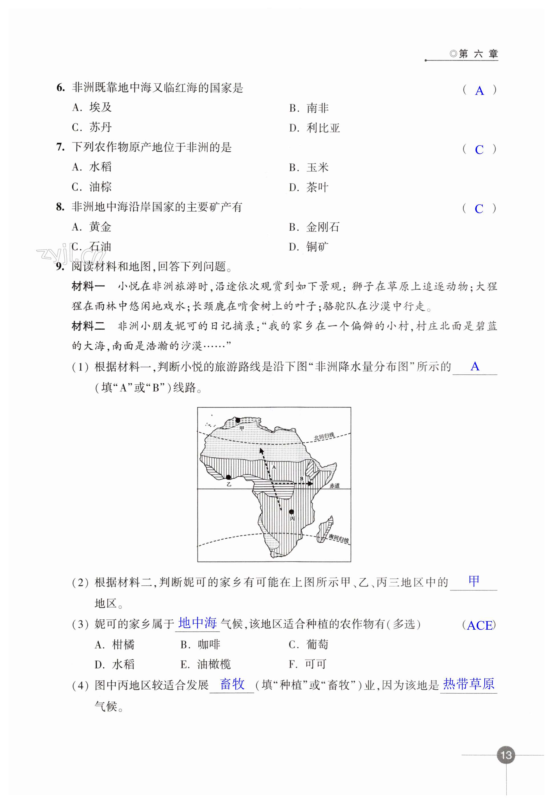 第13頁