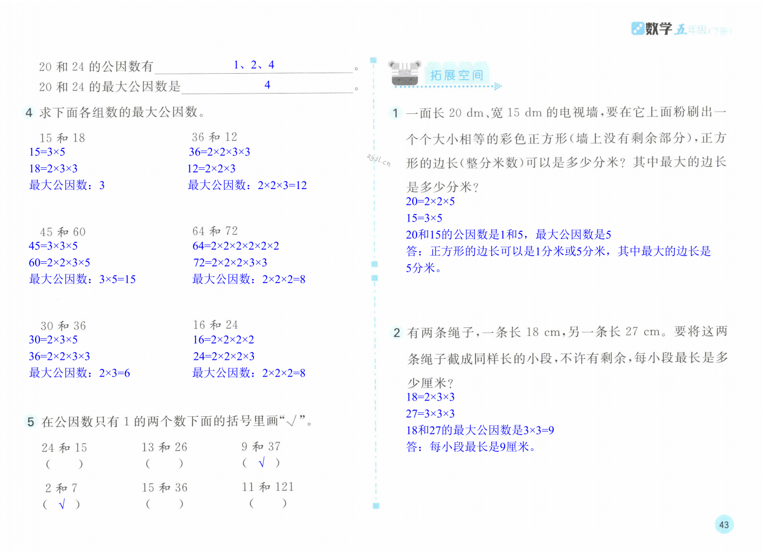 第43页