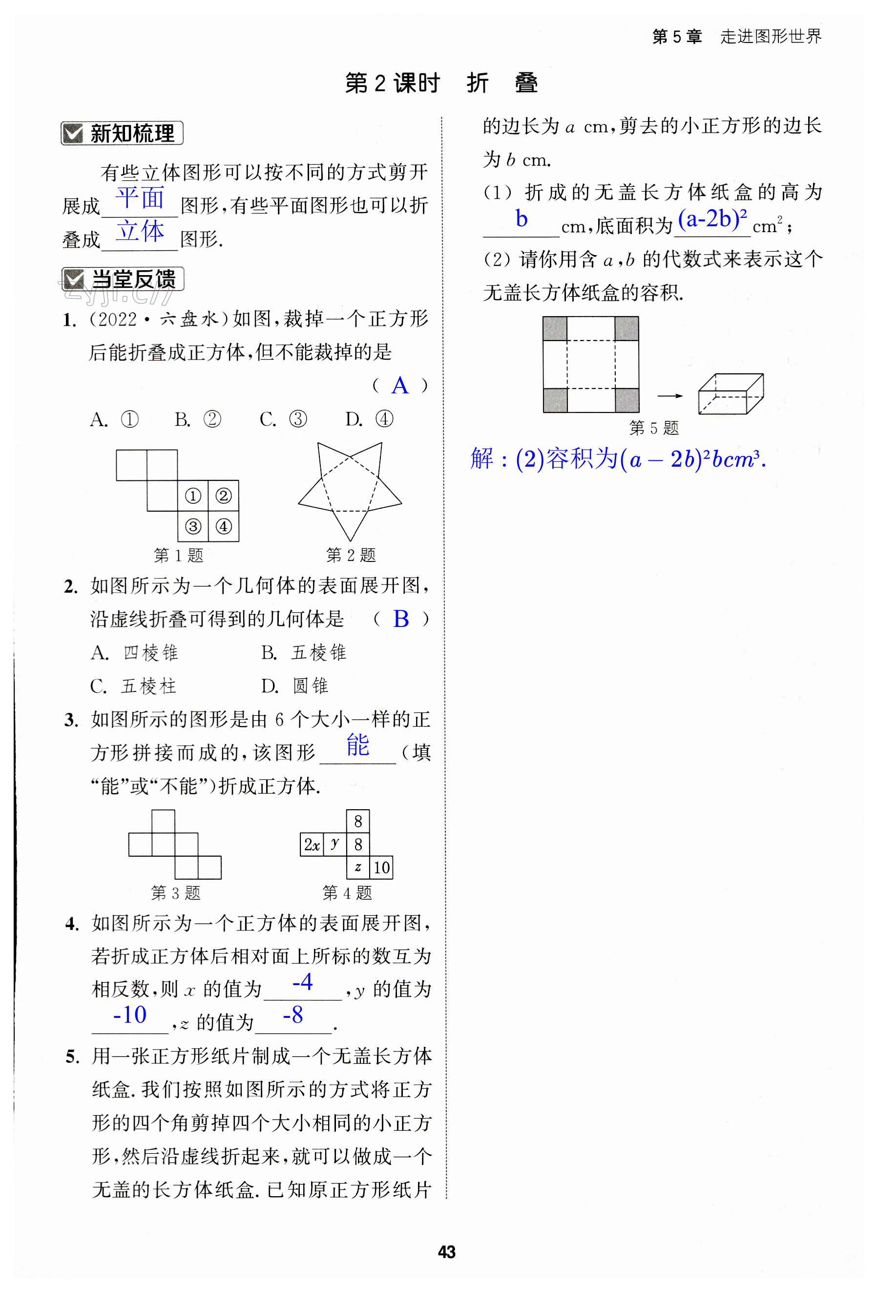 第43页