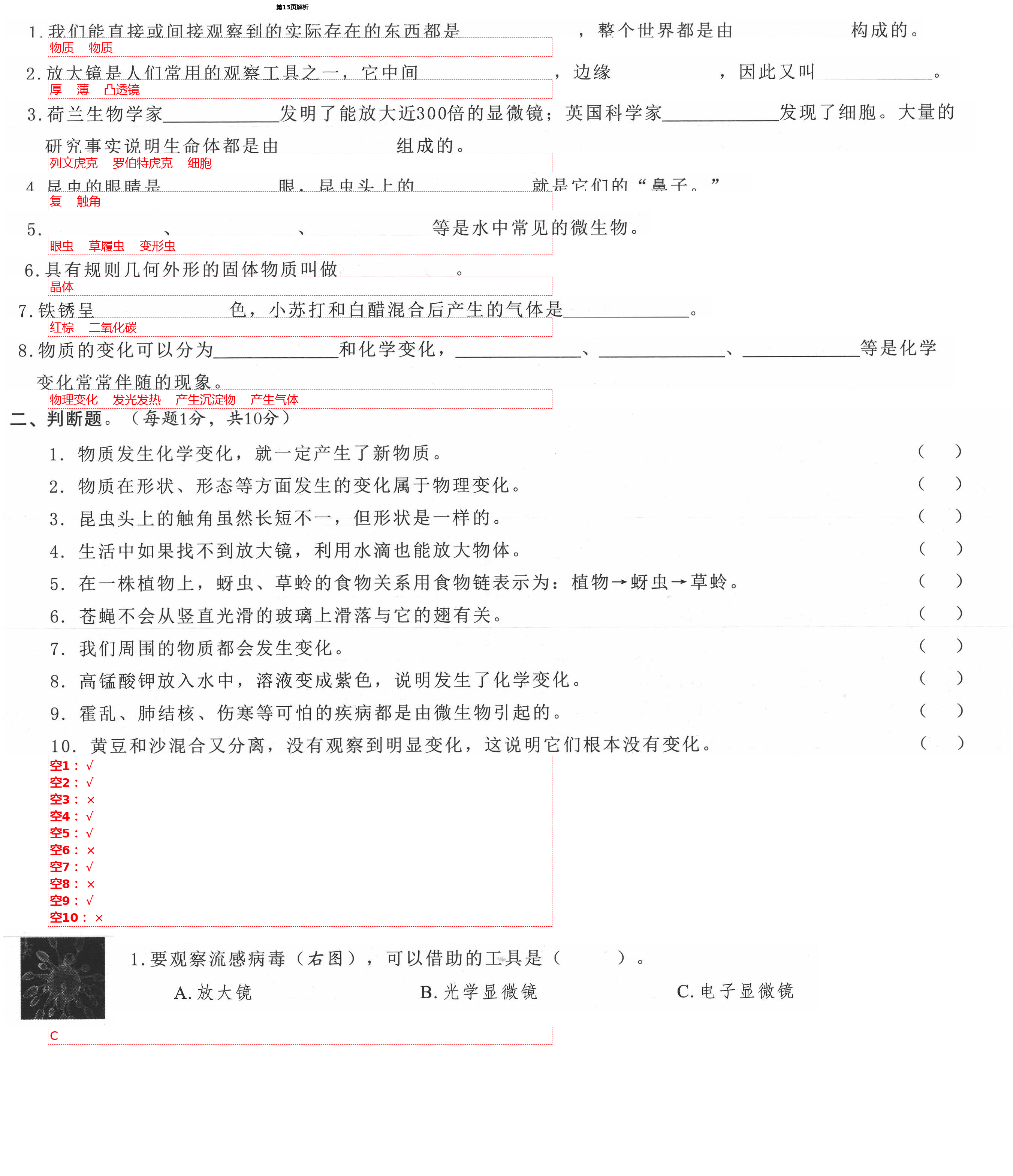 2021年學而晉六年級科學下冊教科版 第13頁