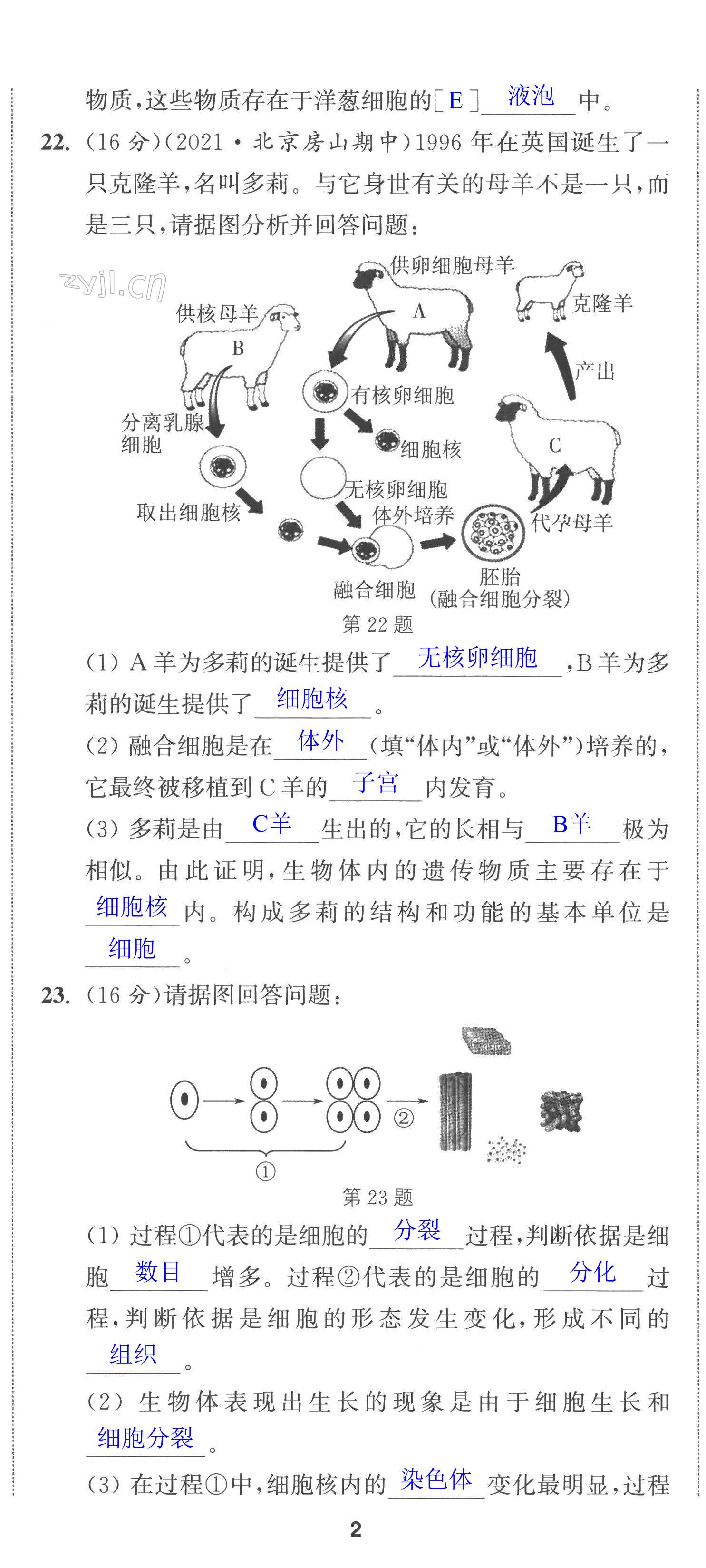 第5頁