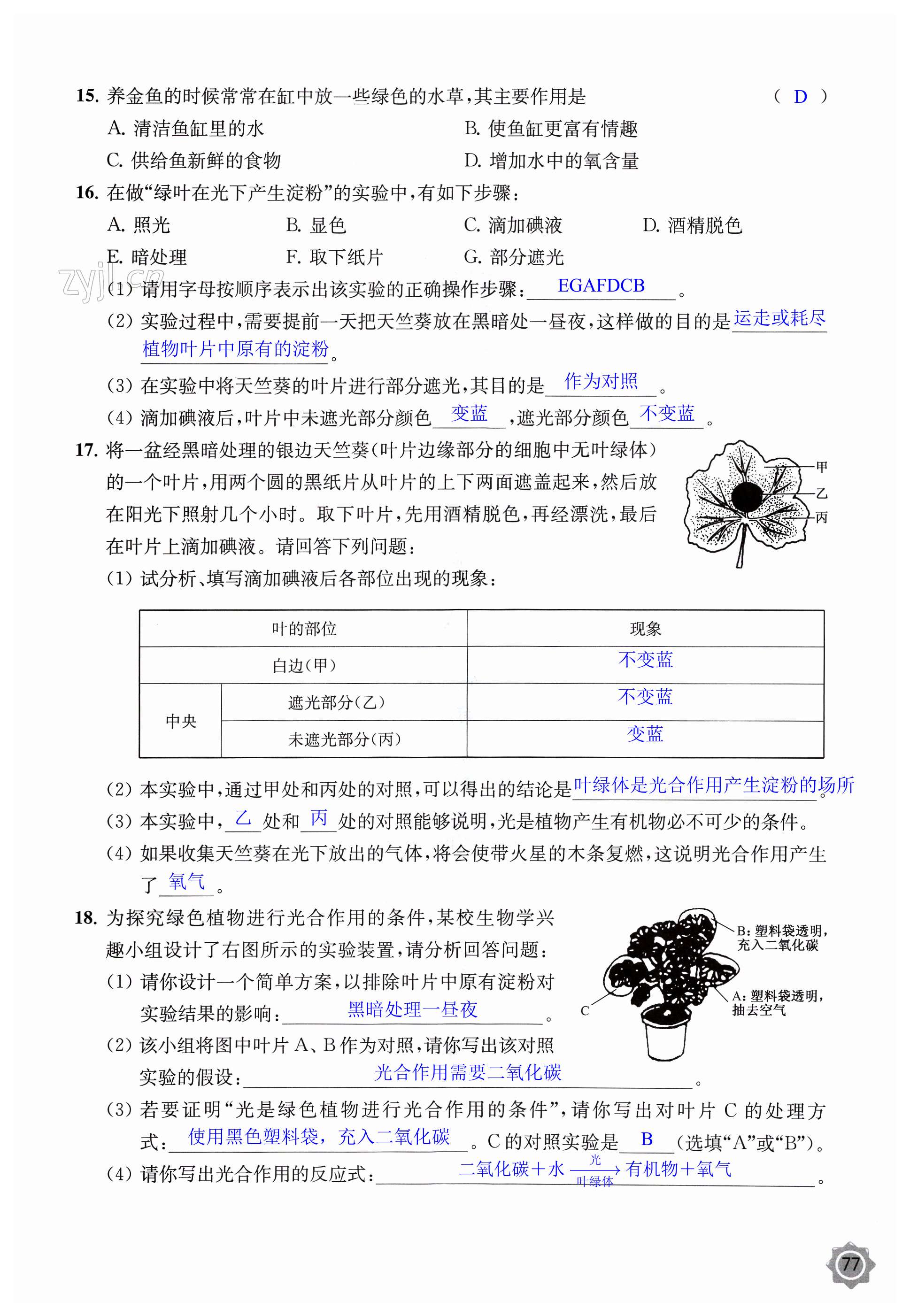 第77页