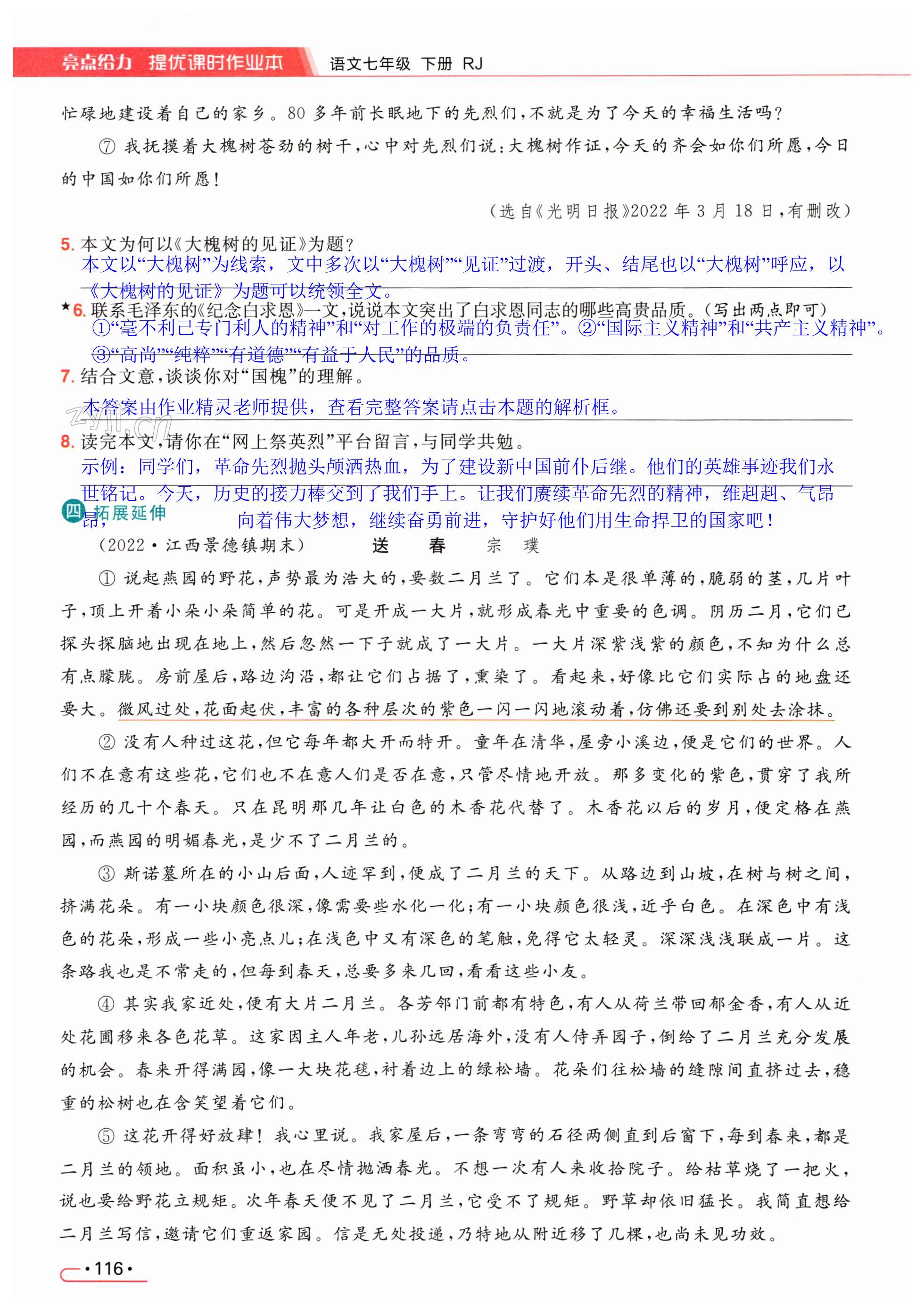 第116页
