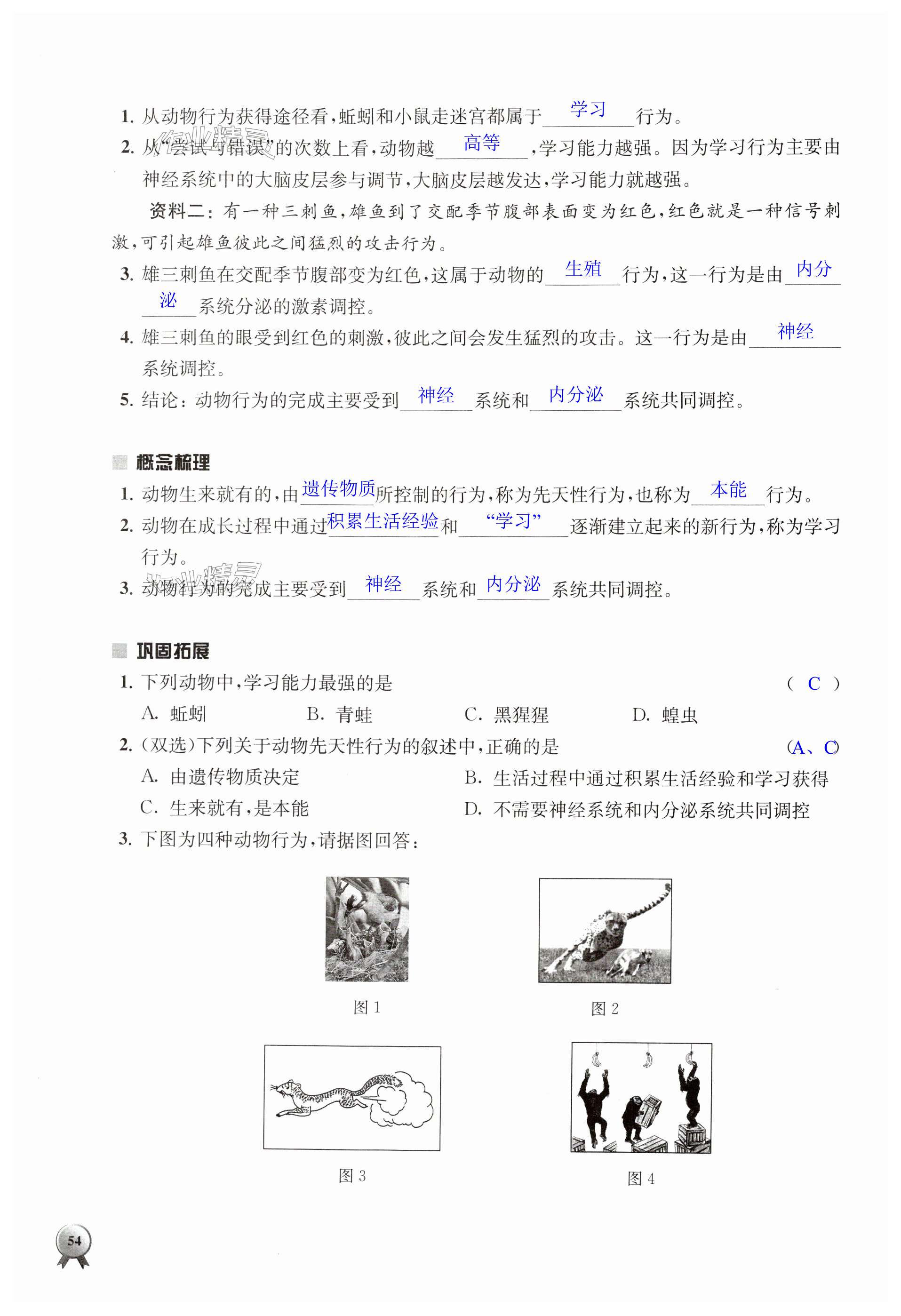 第54頁(yè)