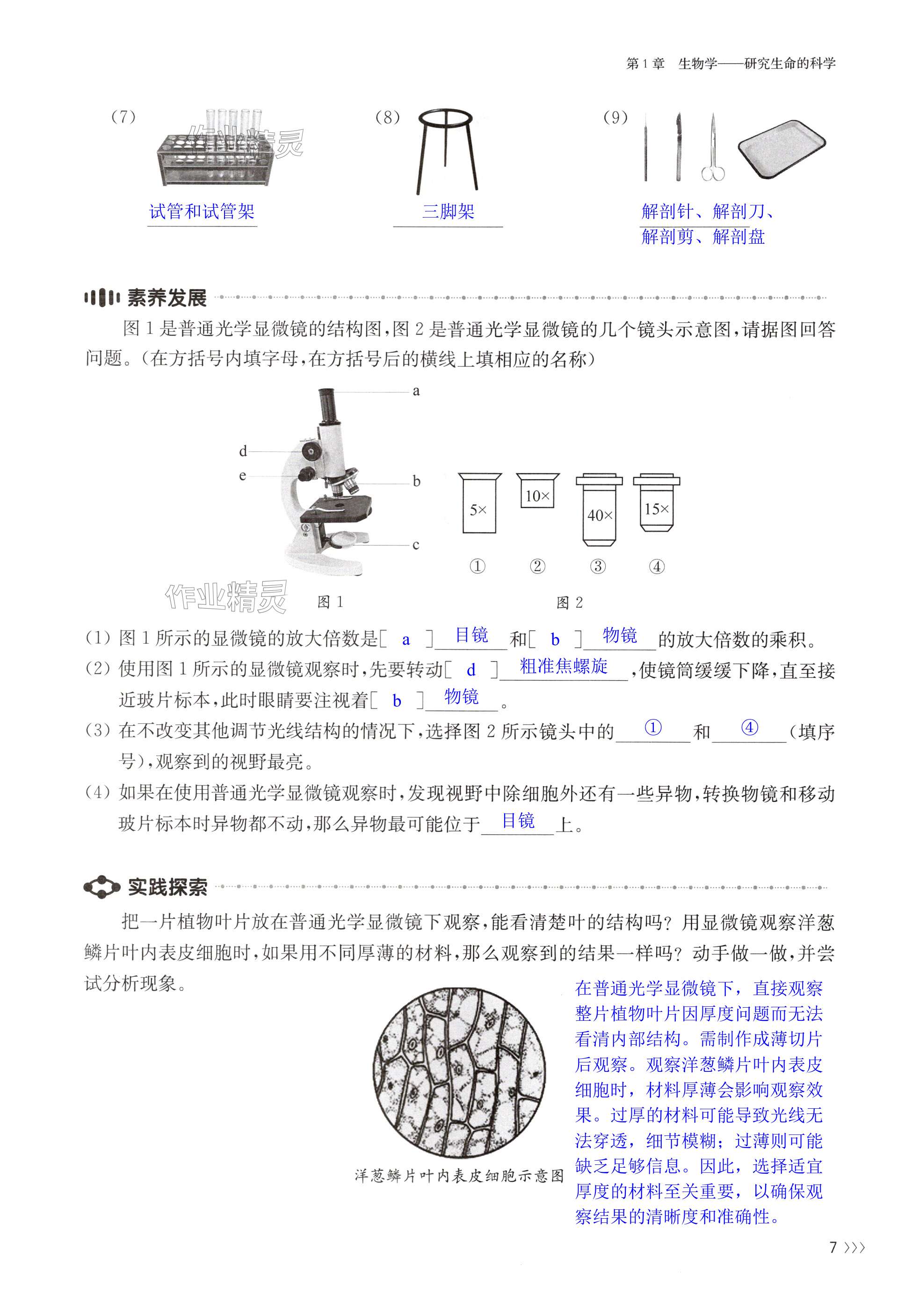 第7頁