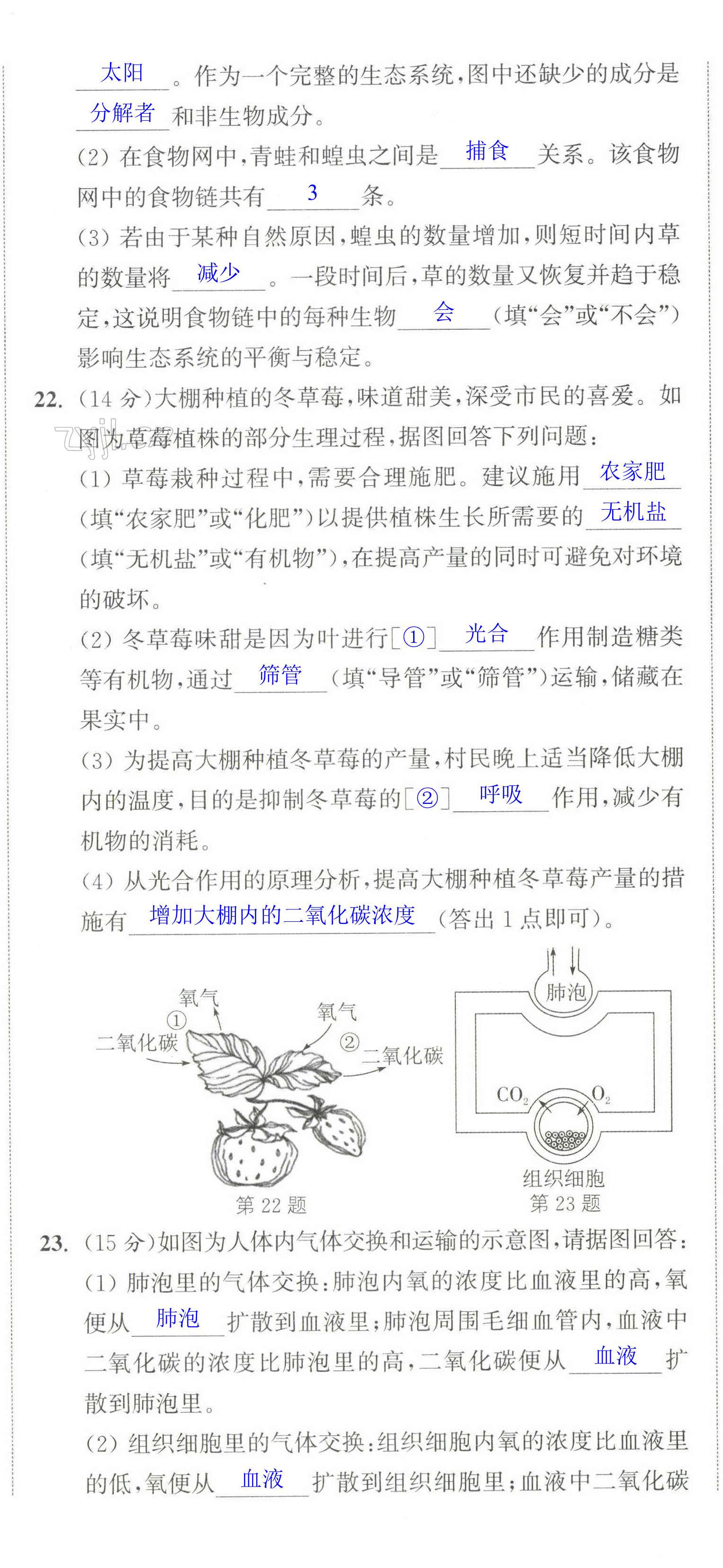 第29頁