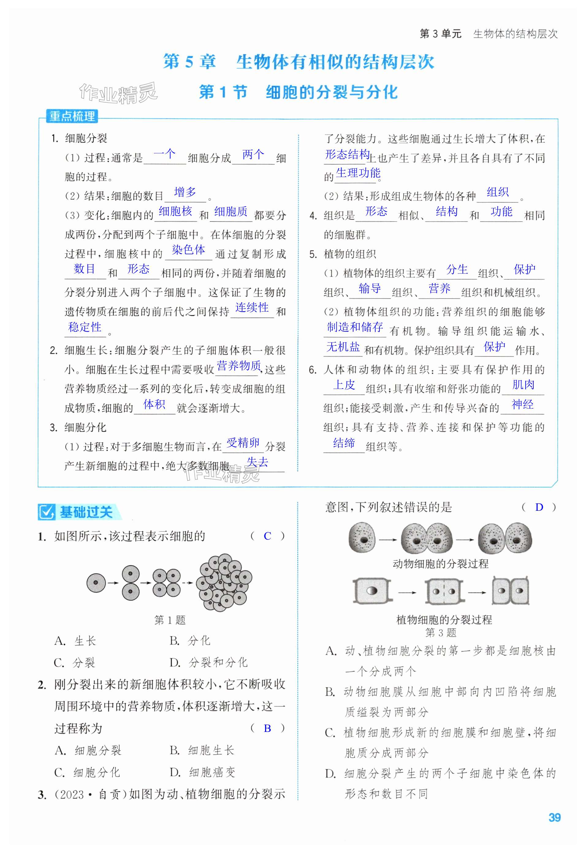 第39頁(yè)