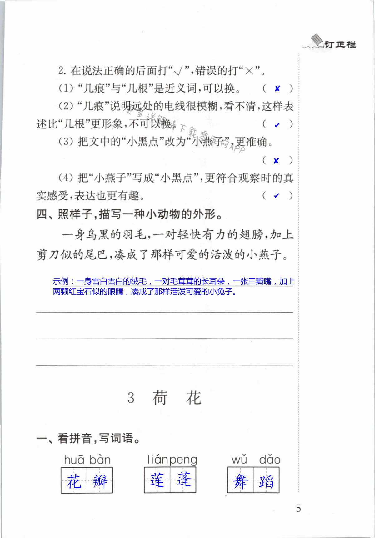 第5页