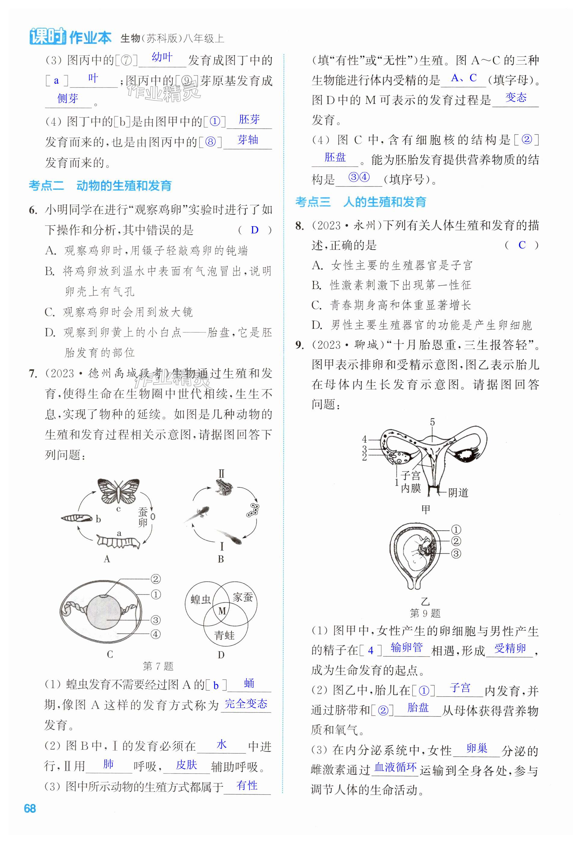 第68頁