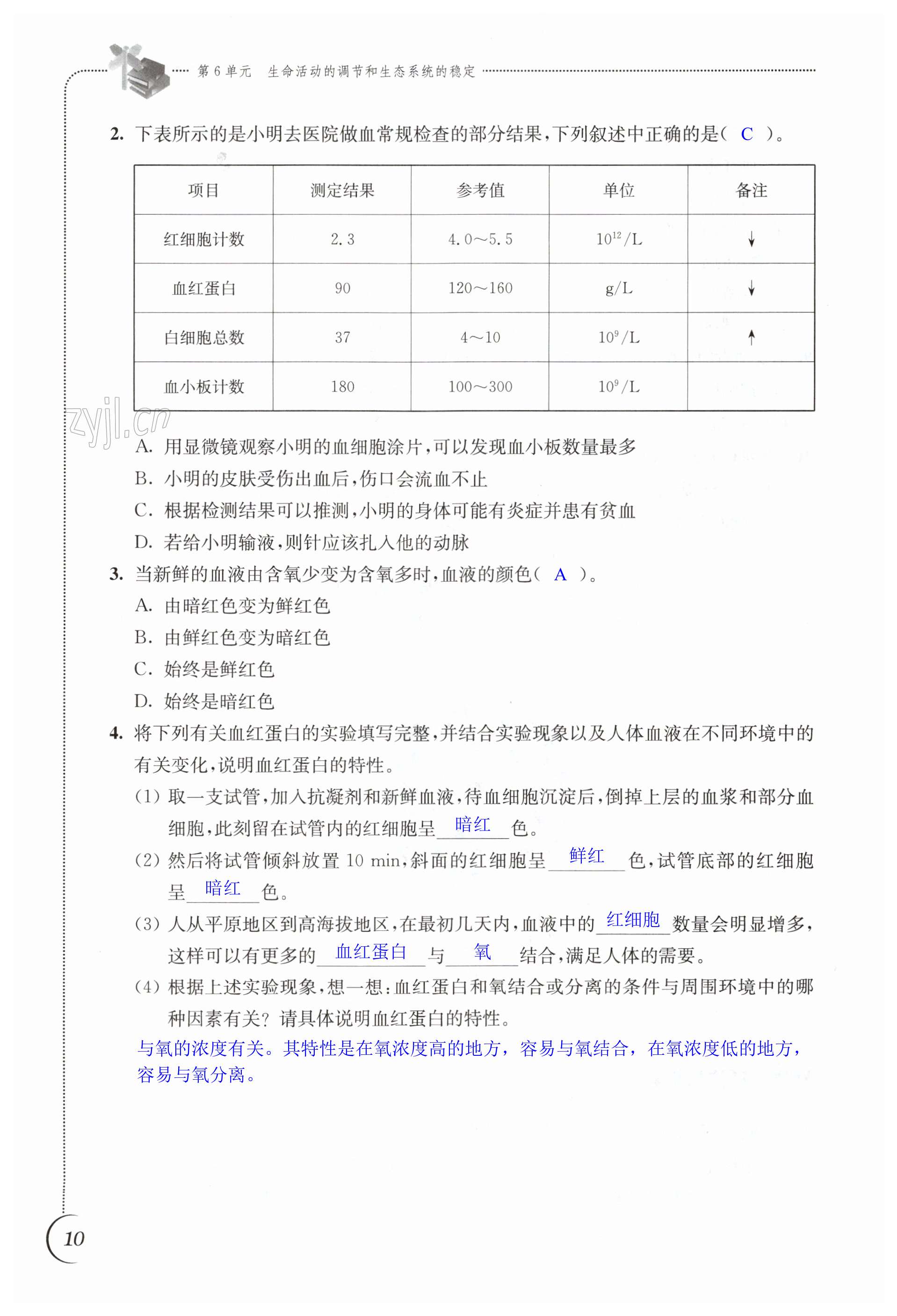 第10页