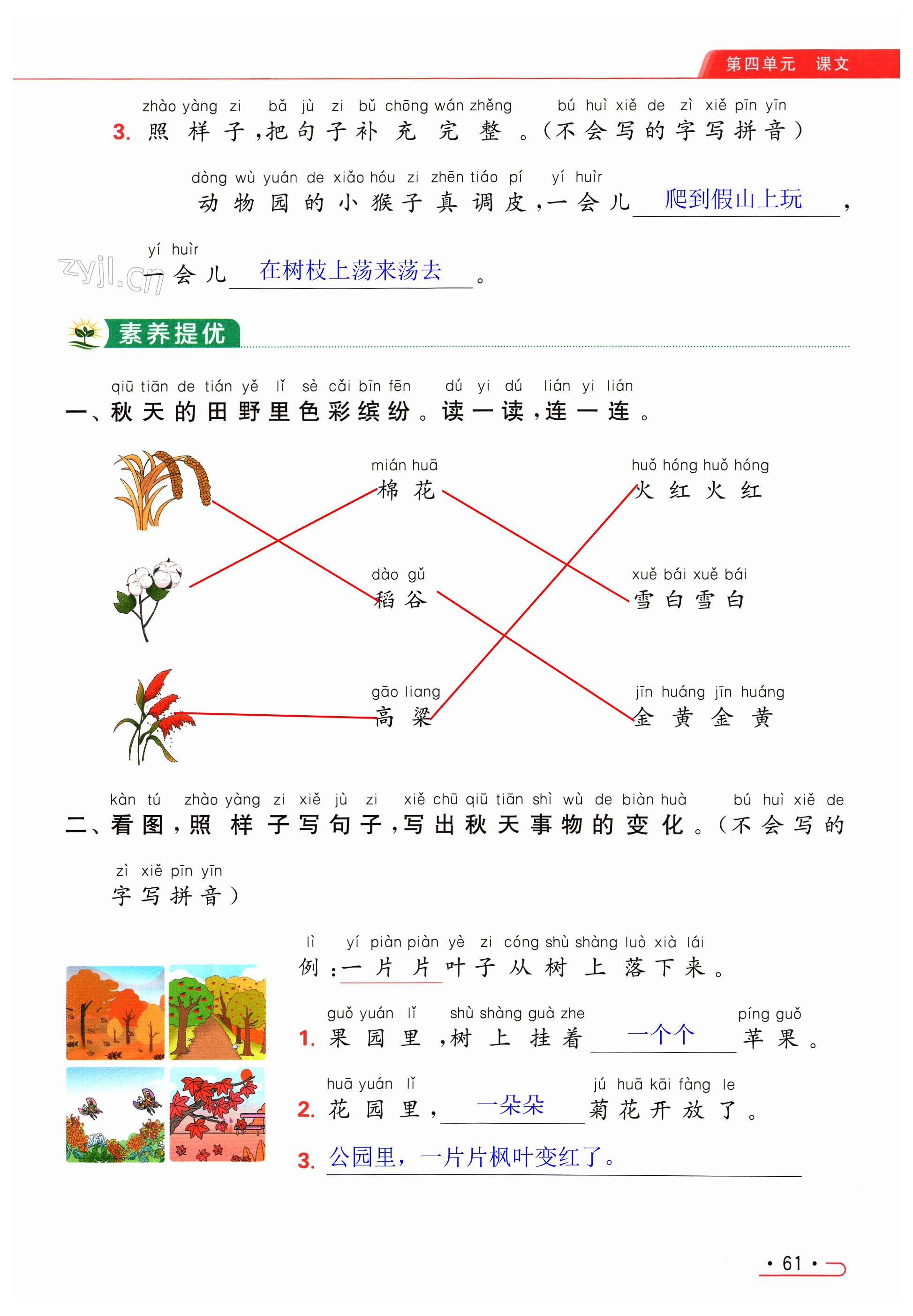 第61页