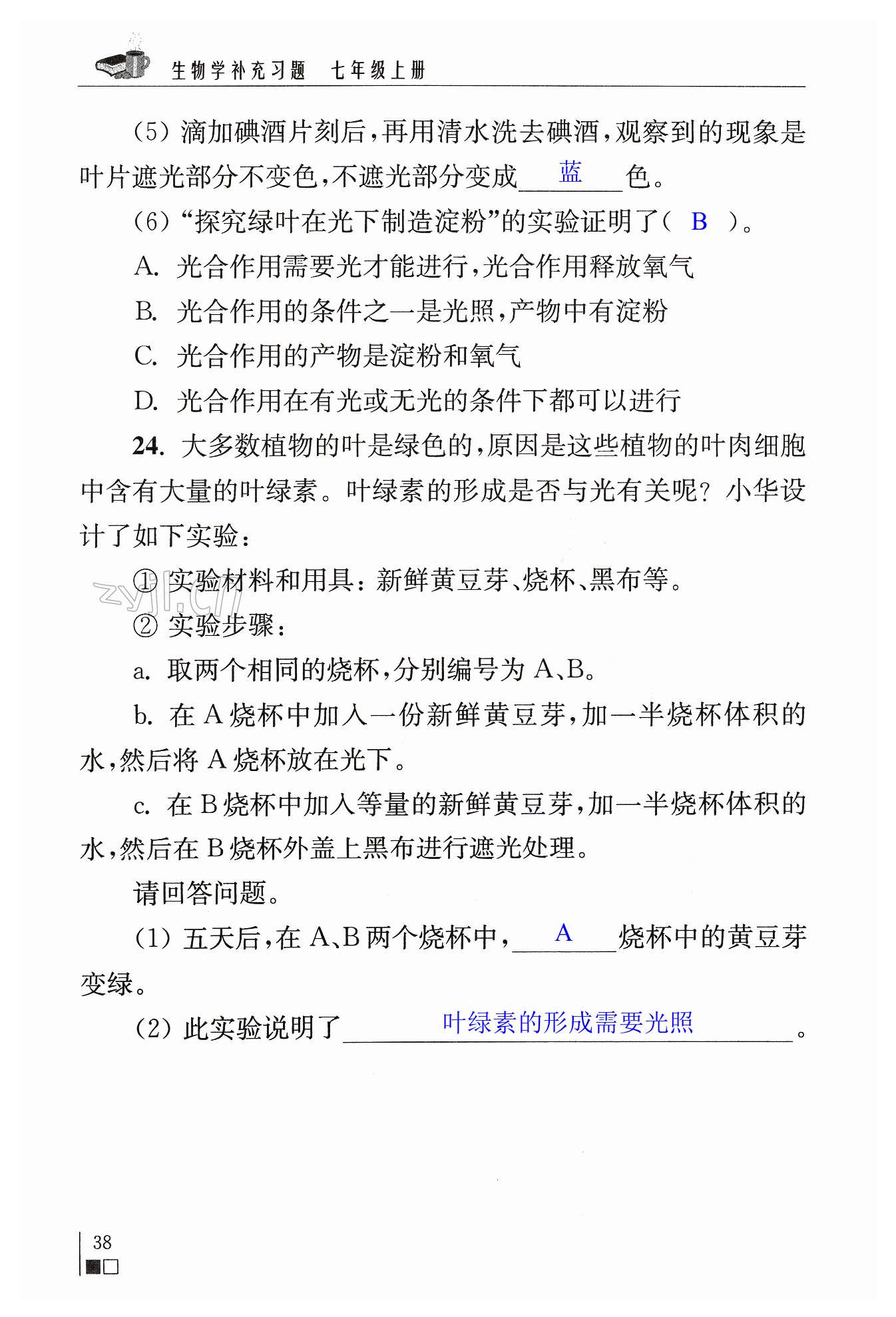 第38页