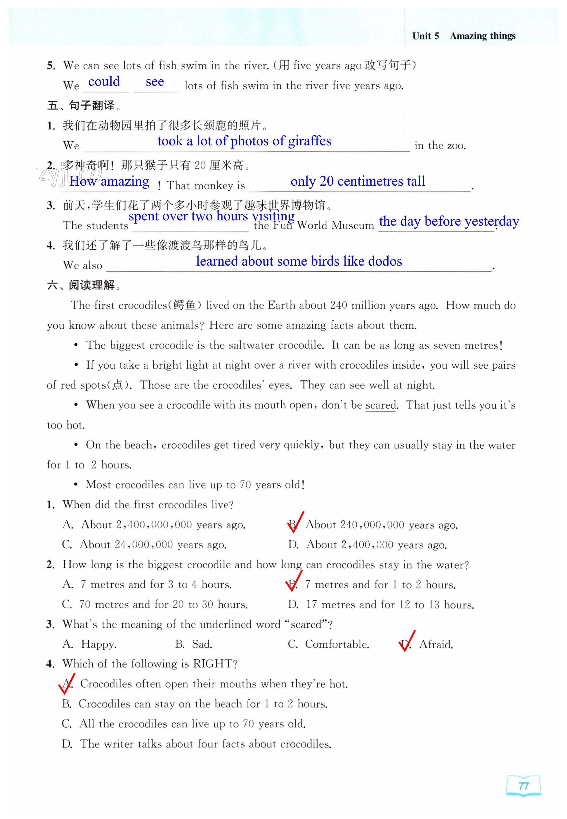 第77页