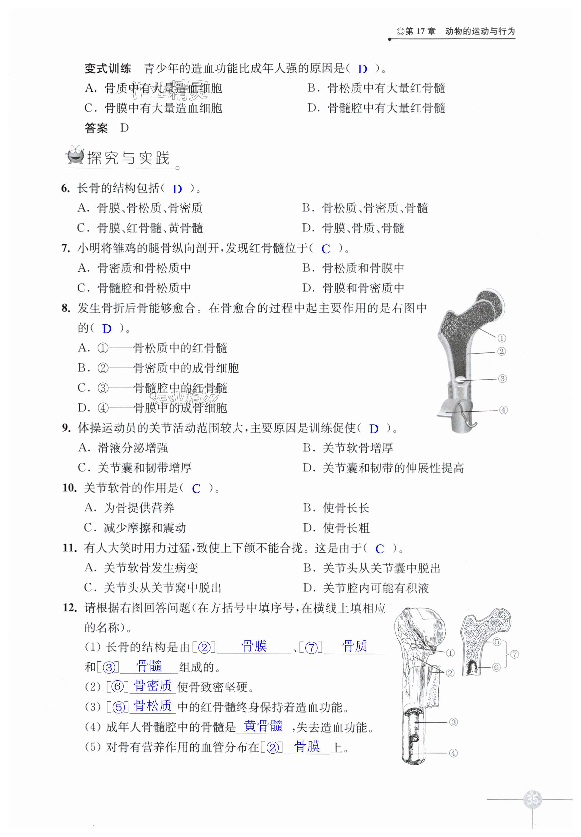 第35页
