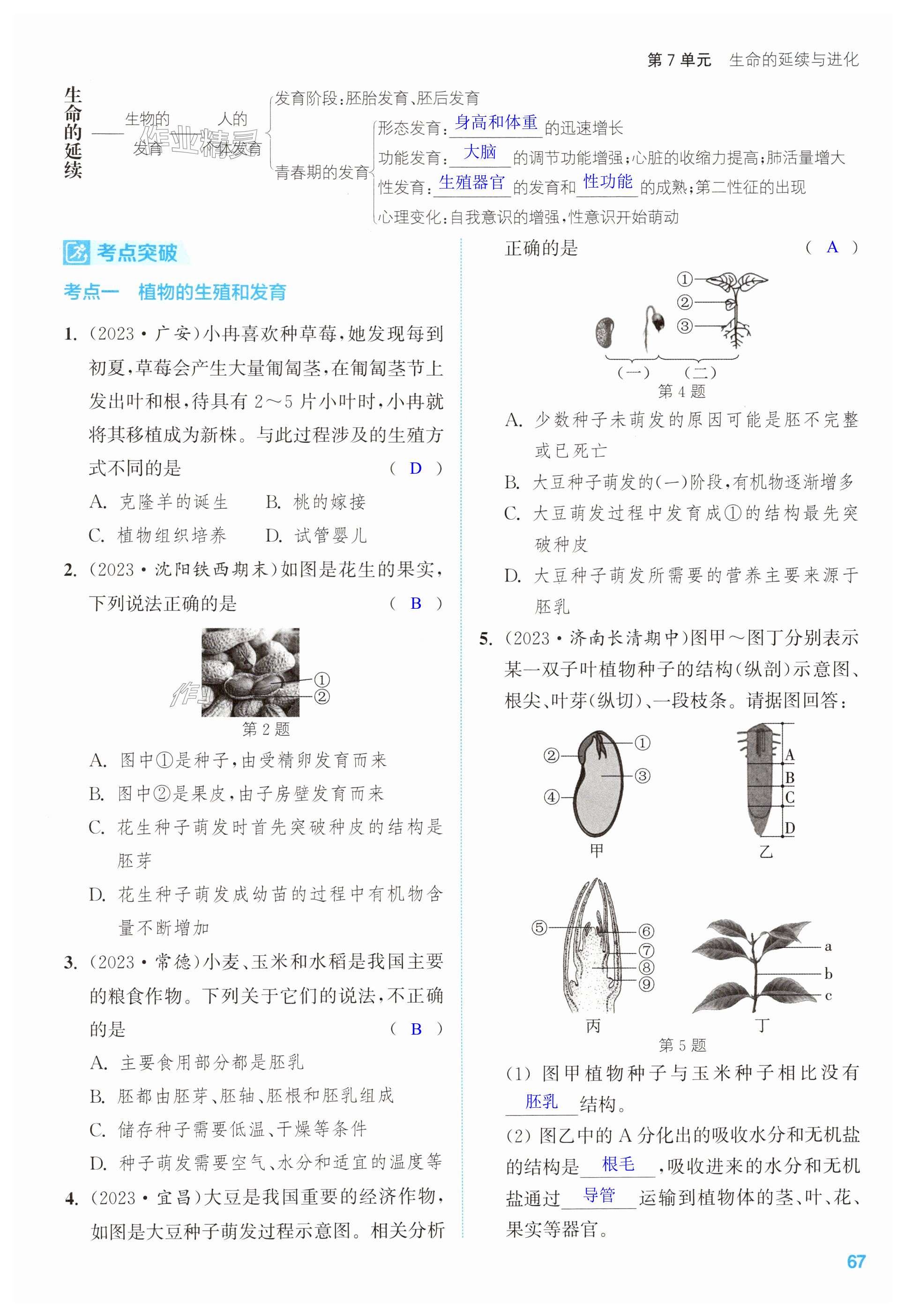 第67頁