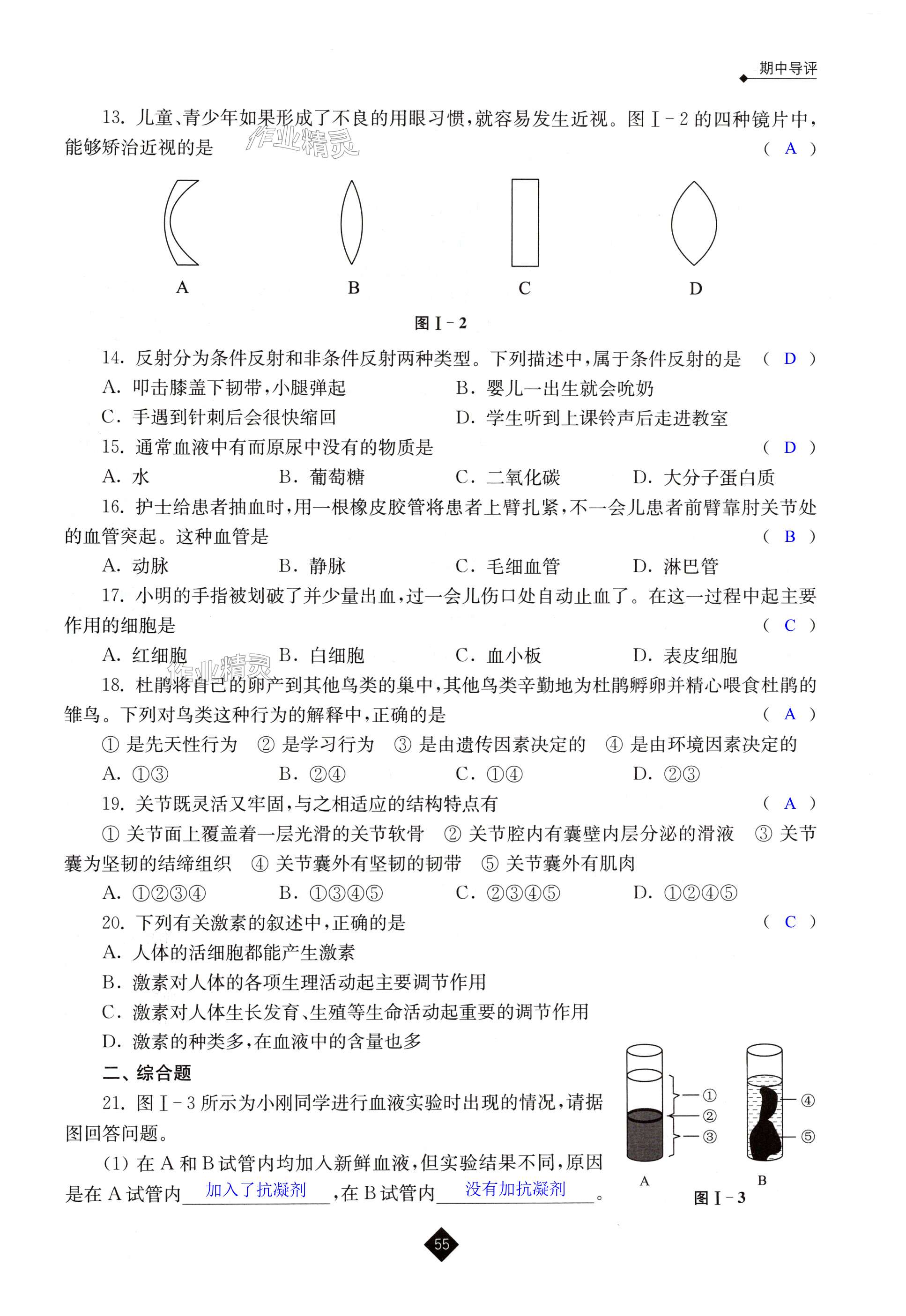 第55頁