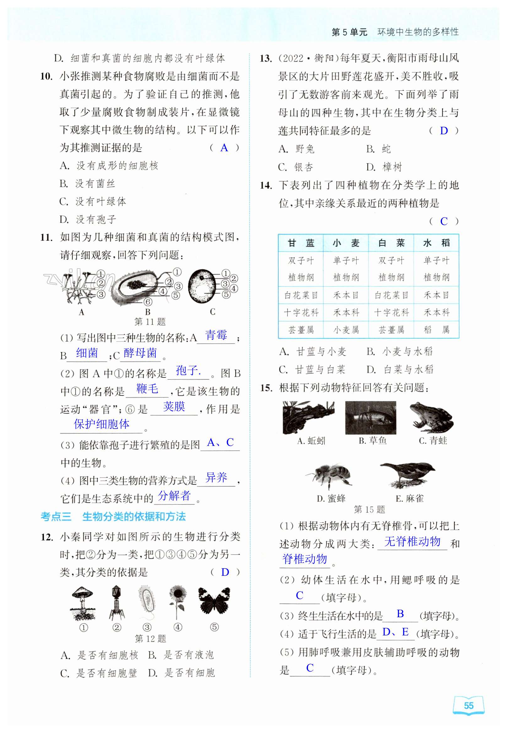 第55頁