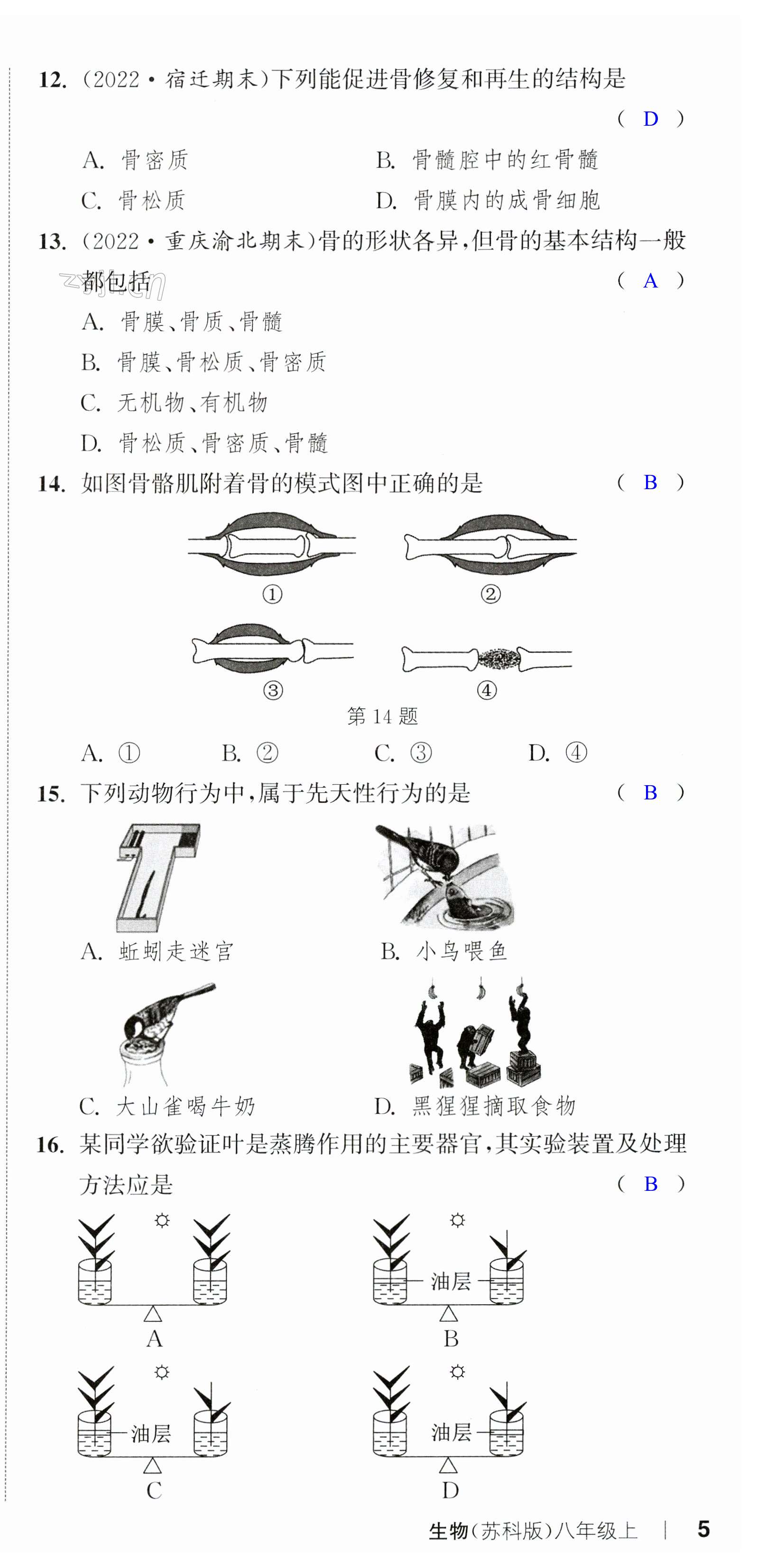 第15頁