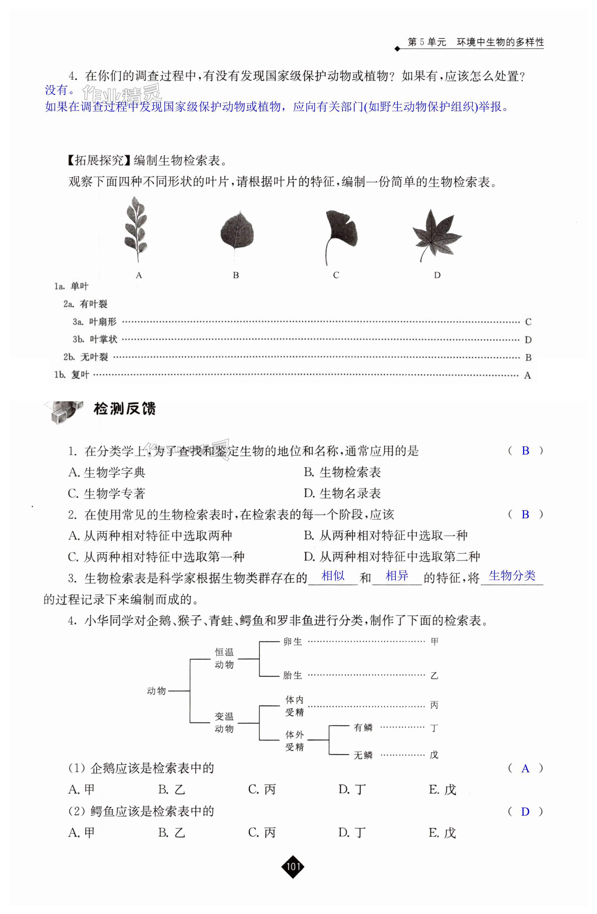 第101頁