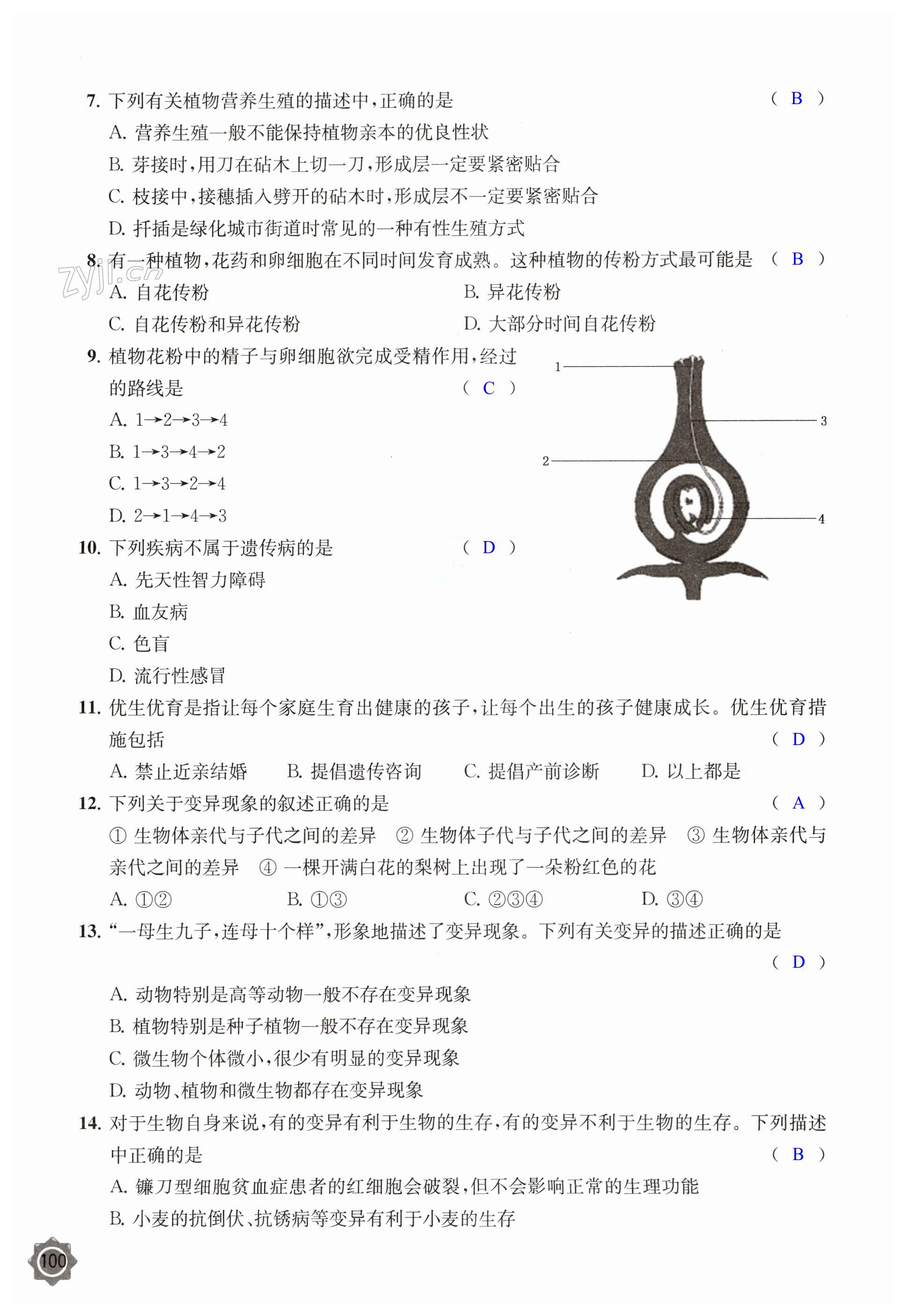 第100頁