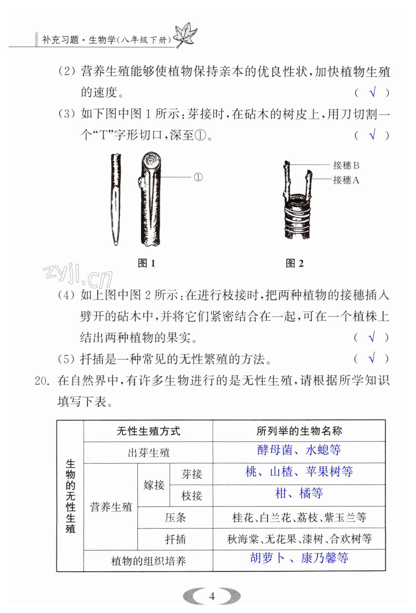 第4頁