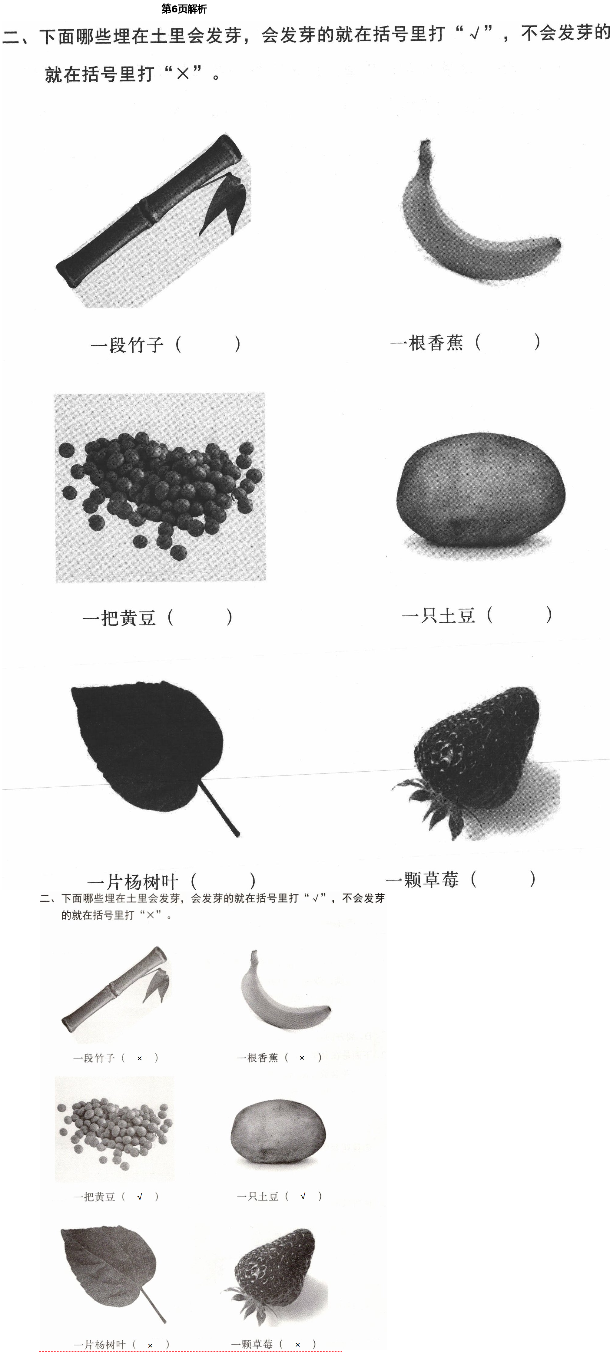 2021年新思維伴你學(xué)單元達(dá)標(biāo)測(cè)試卷四年級(jí)科學(xué)下冊(cè)教科版 第6頁