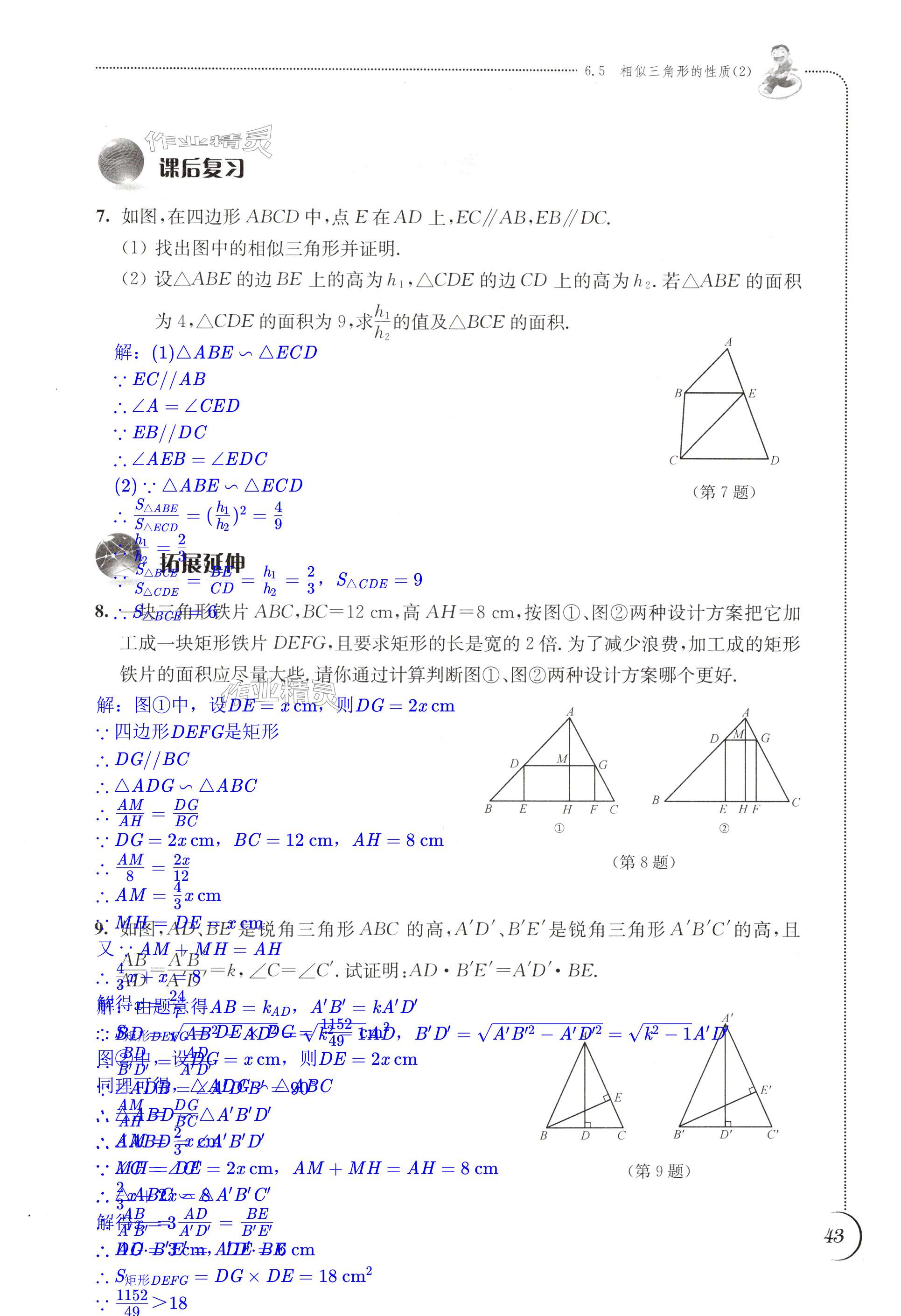 第43頁