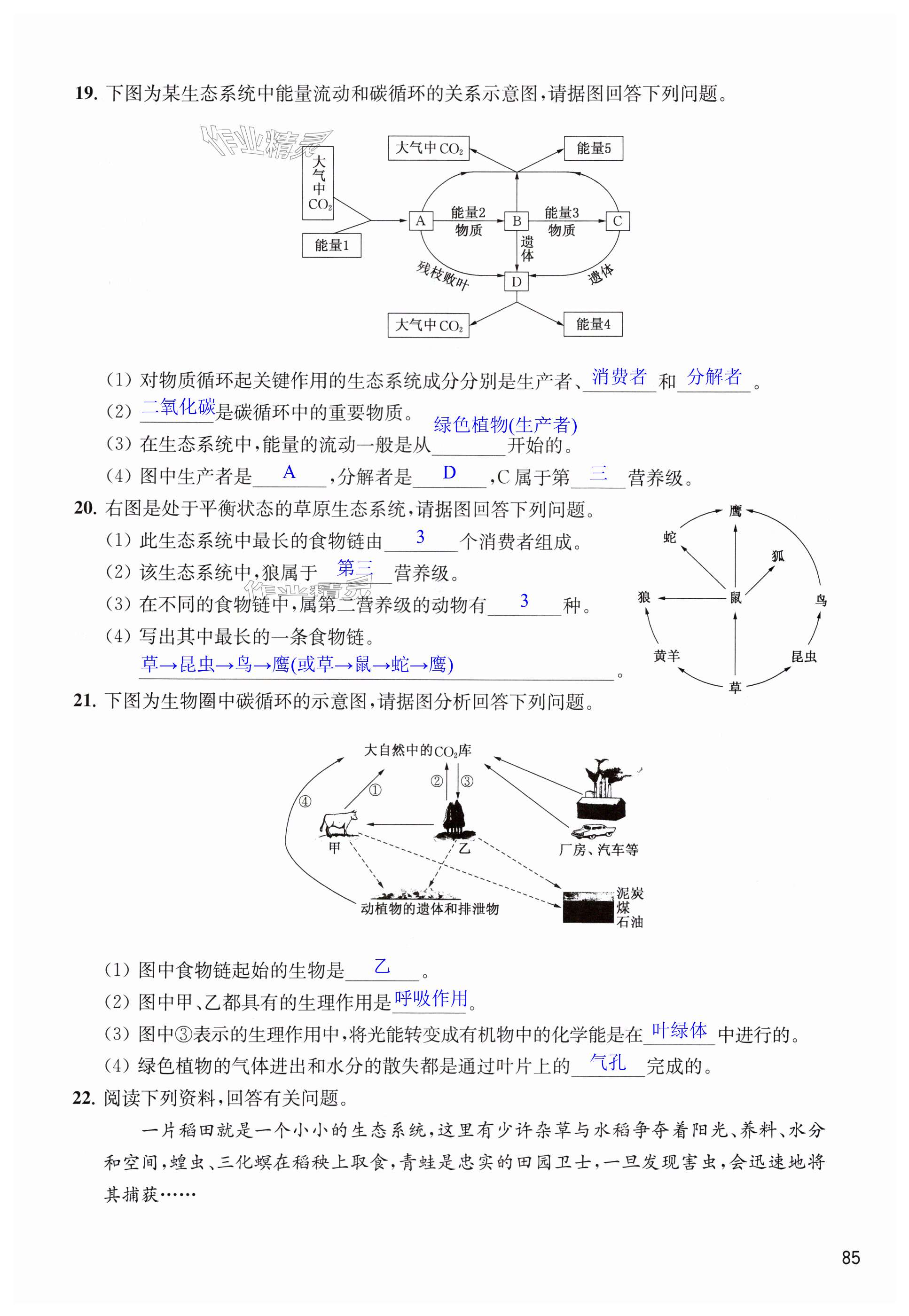 第85頁