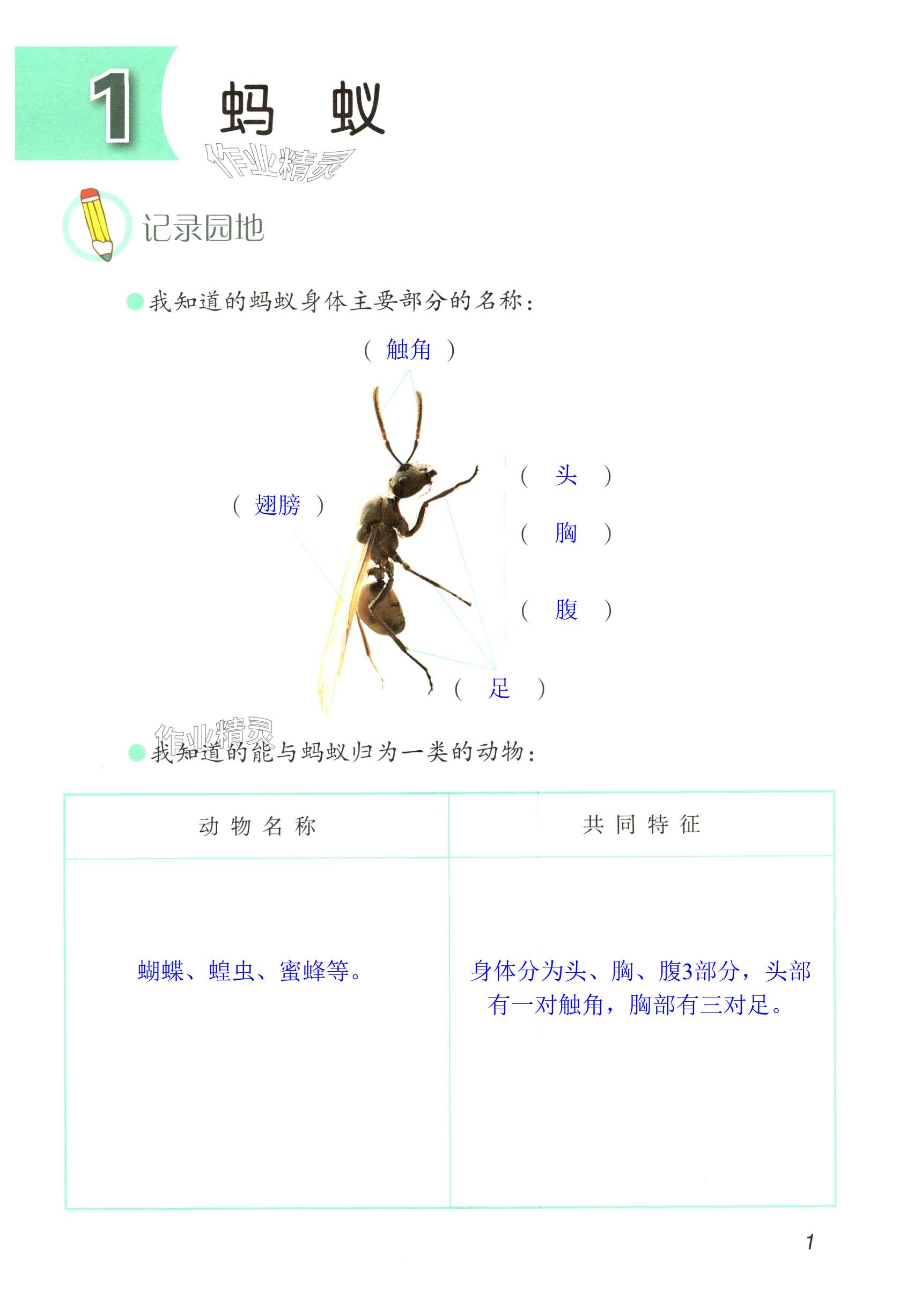 2024年学生活动手册四年级科学上册青岛版 第1页