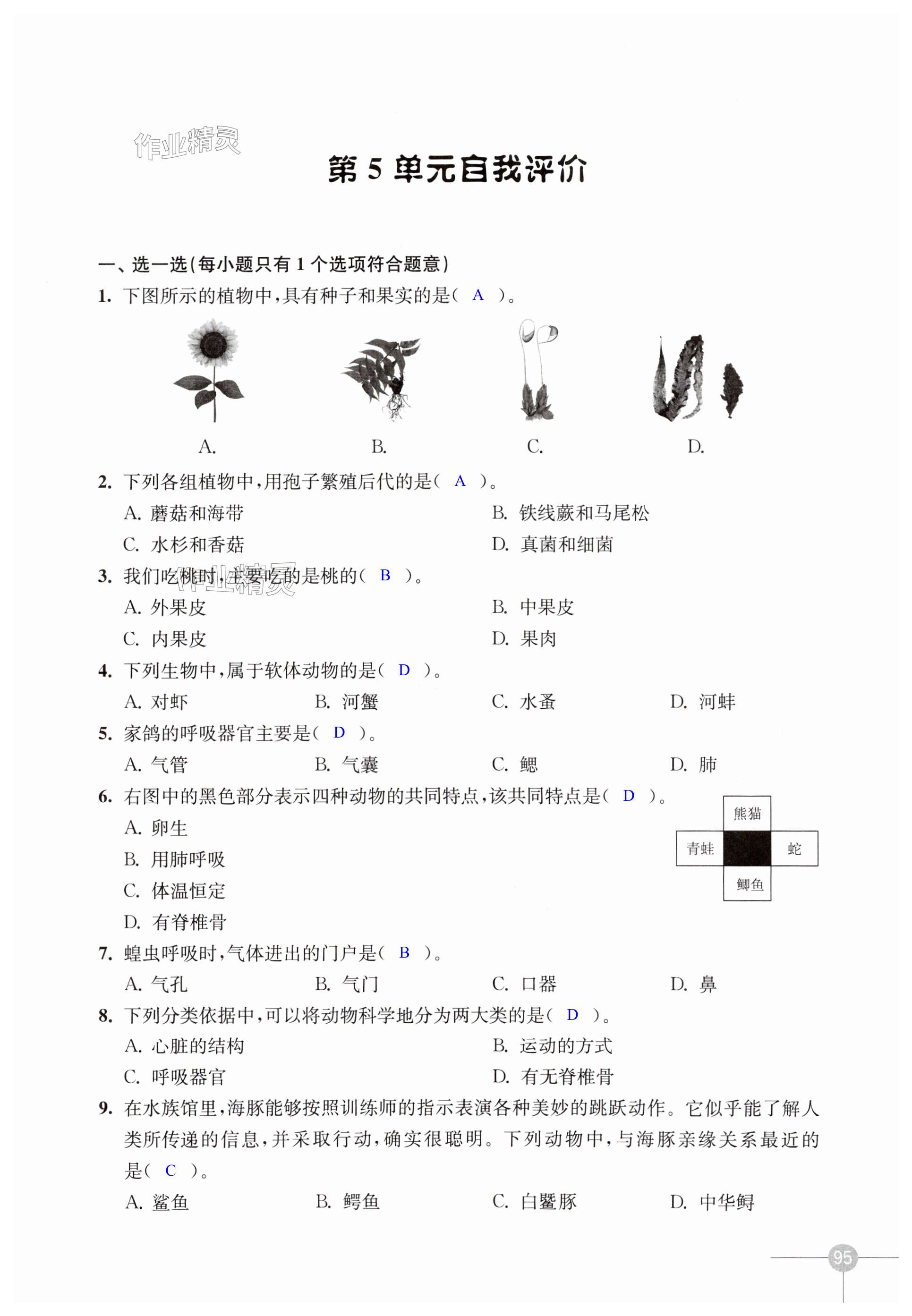 第95页