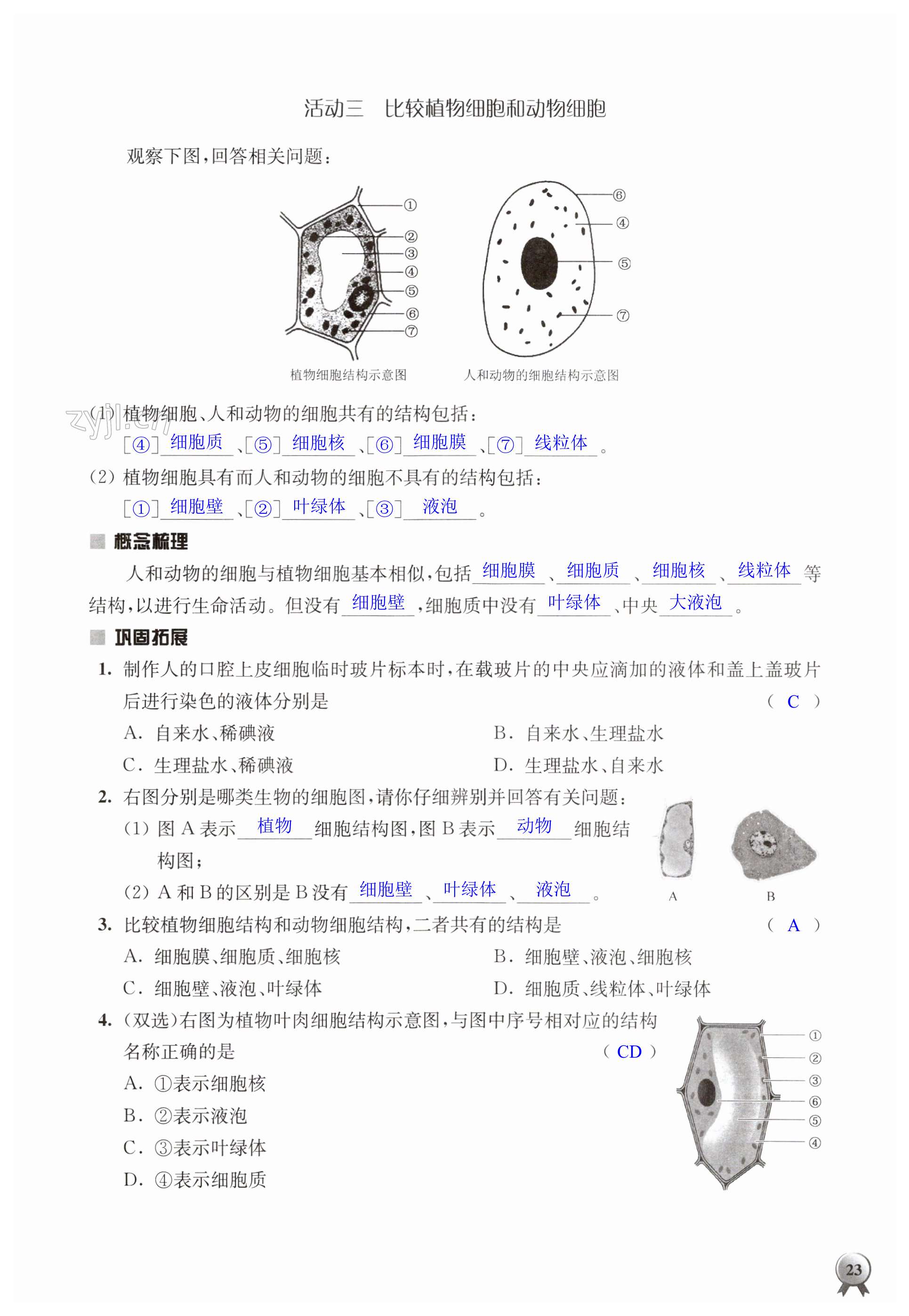 第23页