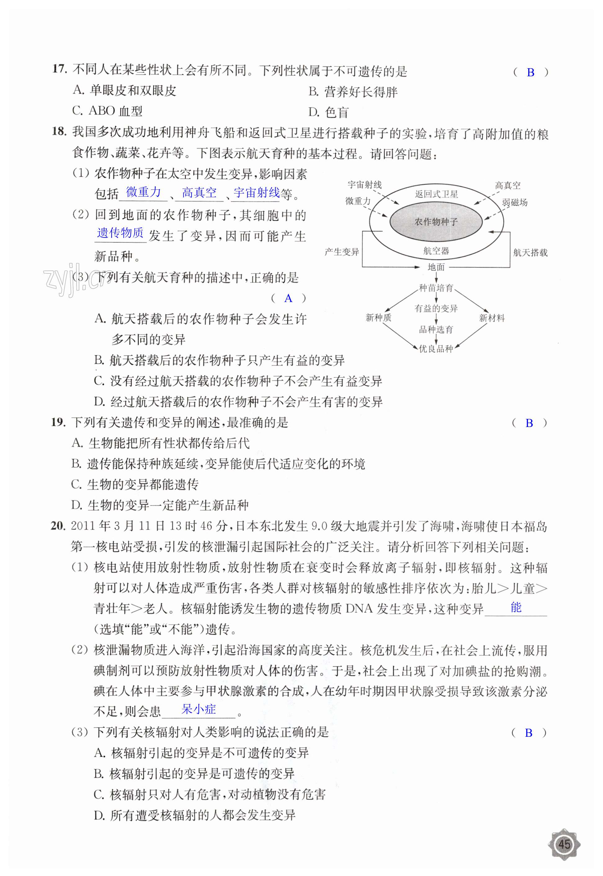 第45頁