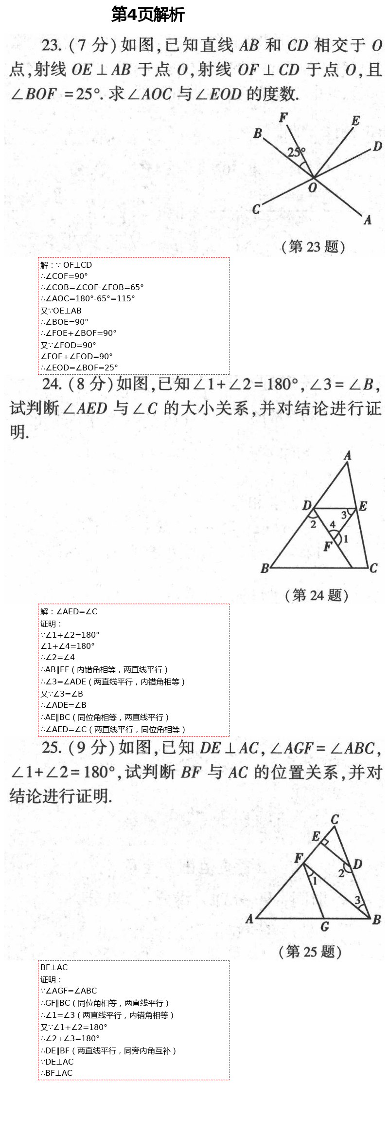 2021年基础训练七年级数学下册人教版大象出版社 参考答案第8页