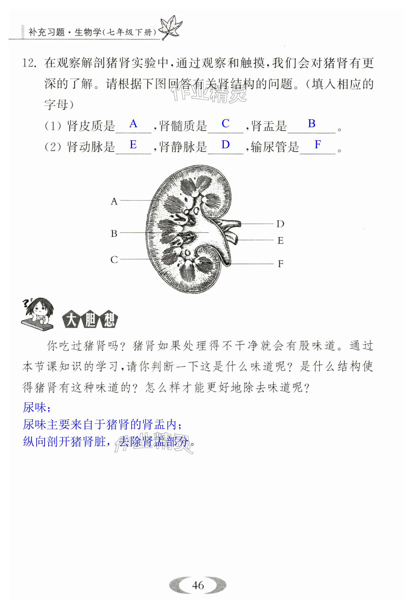 第46頁(yè)