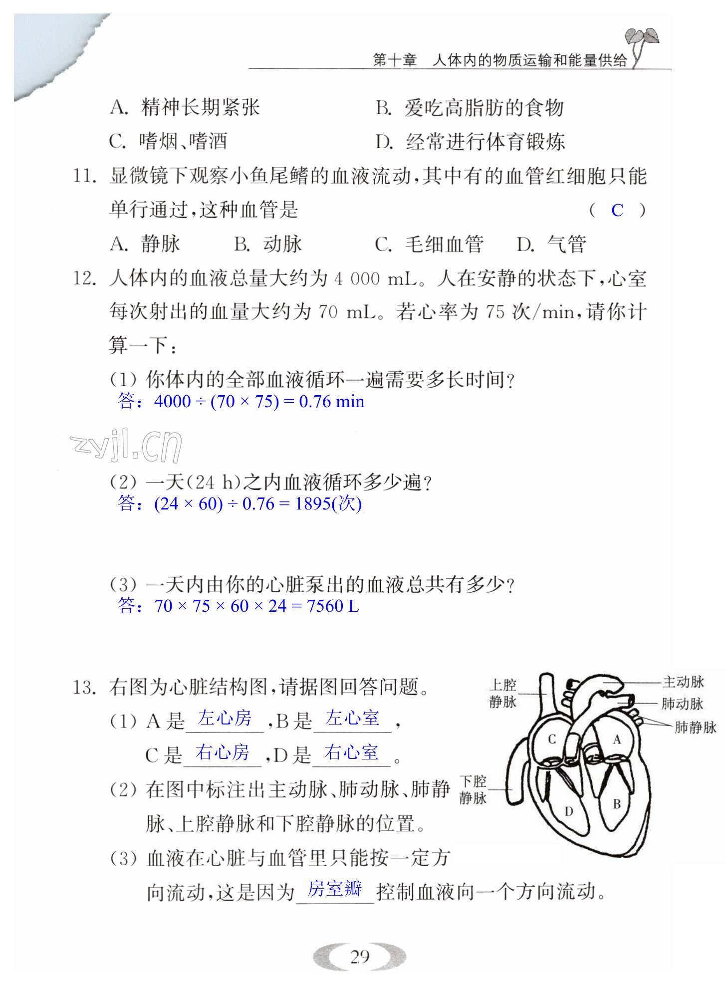 第29页