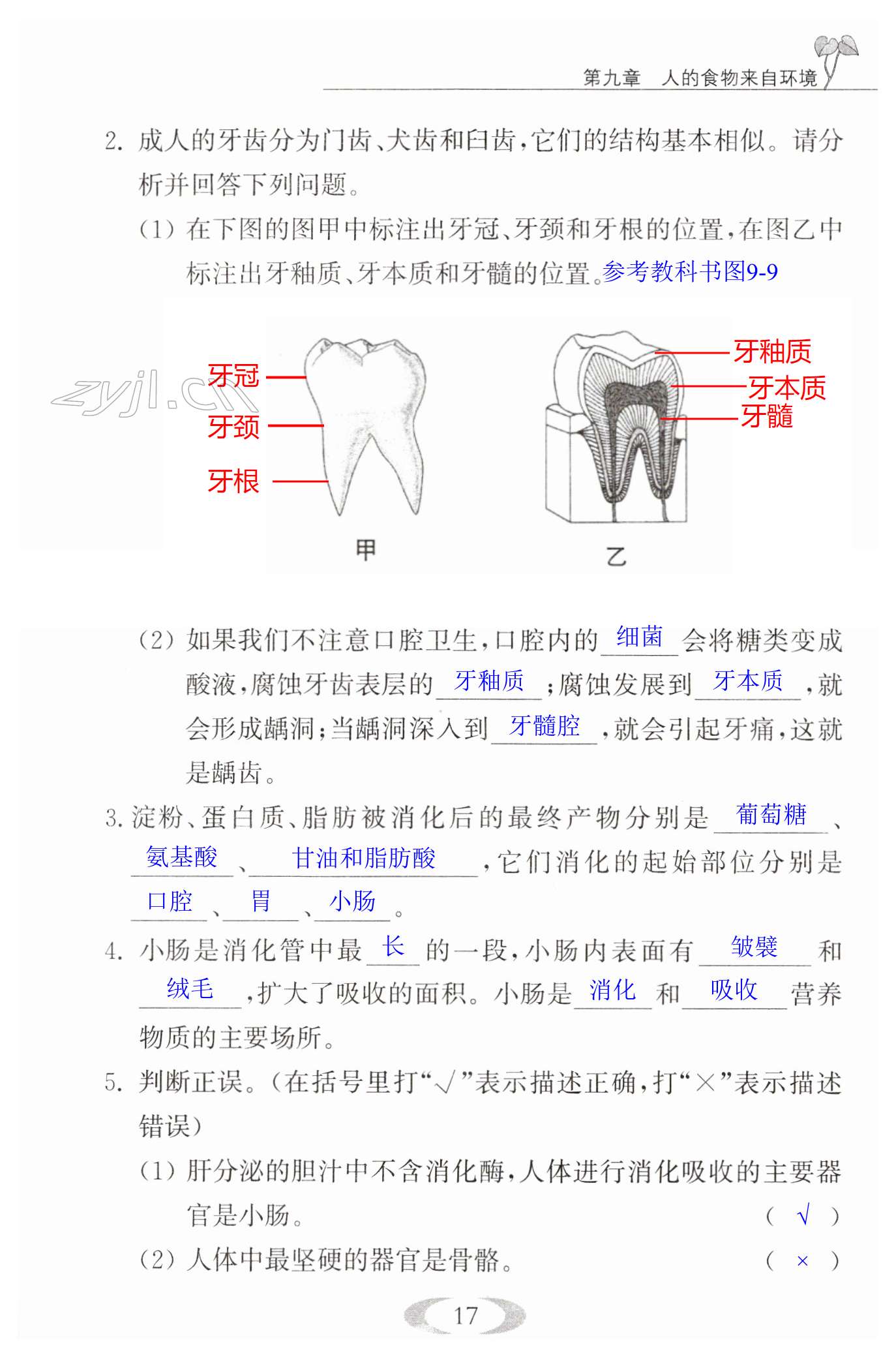 第17頁