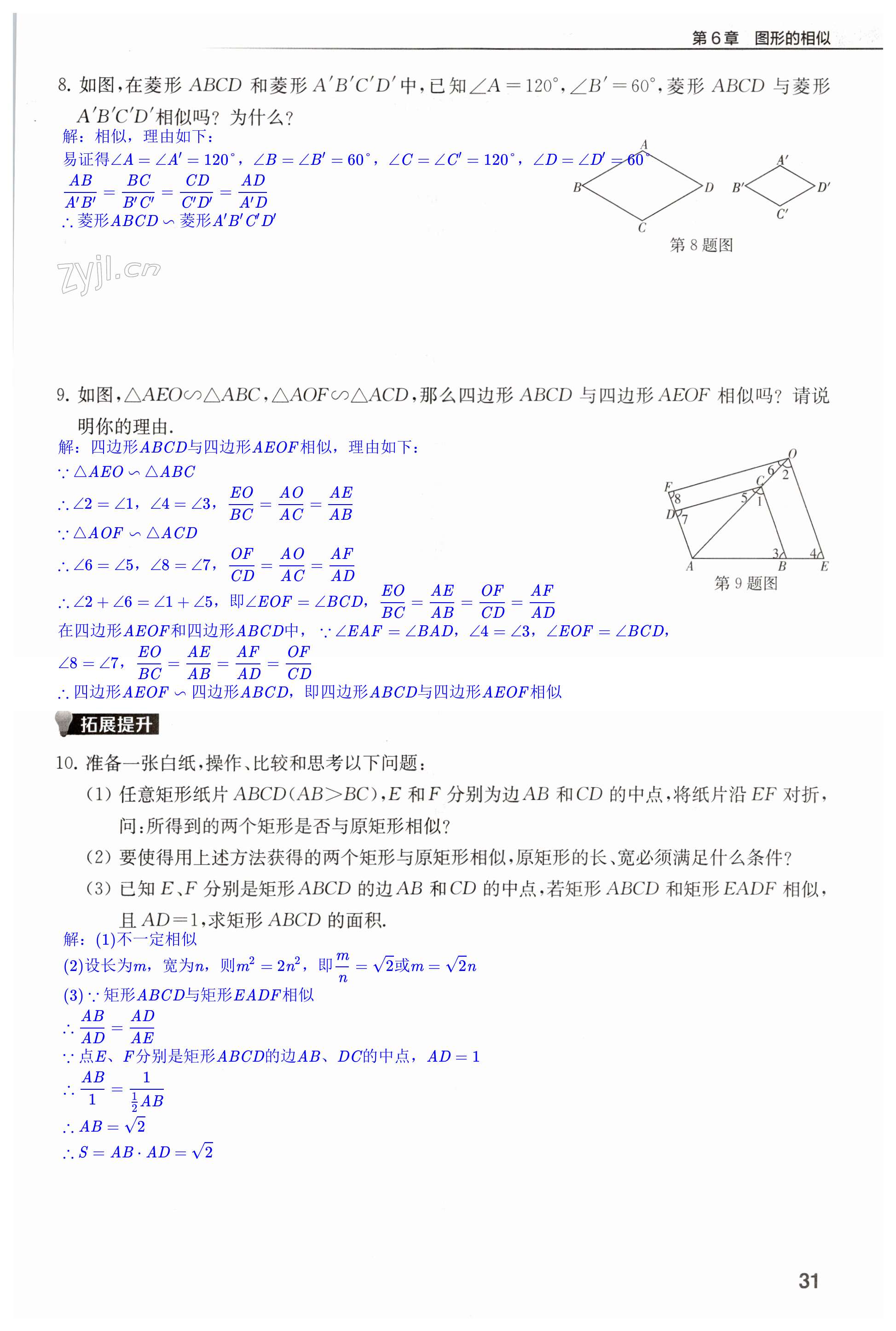 第31页