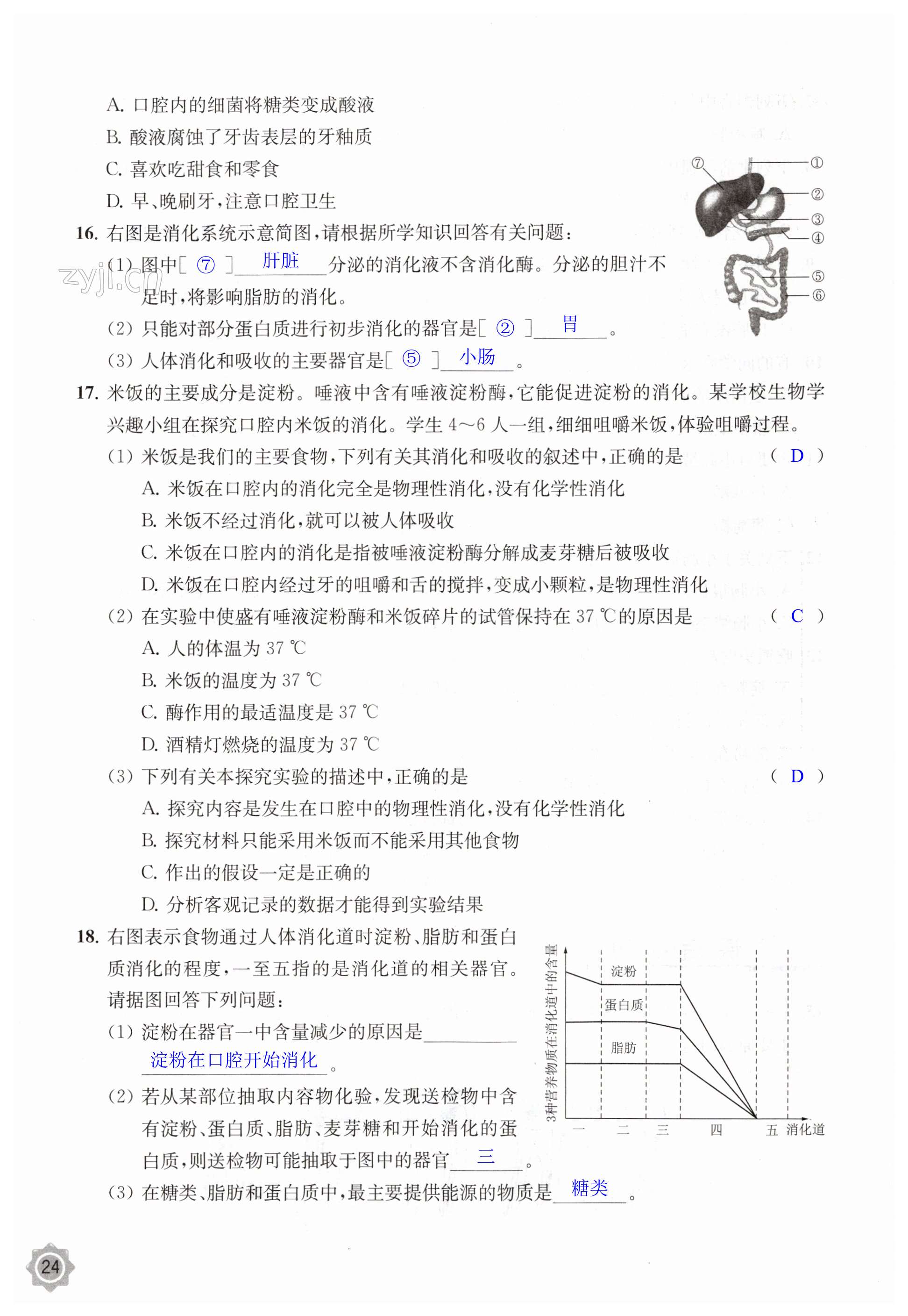 第24頁