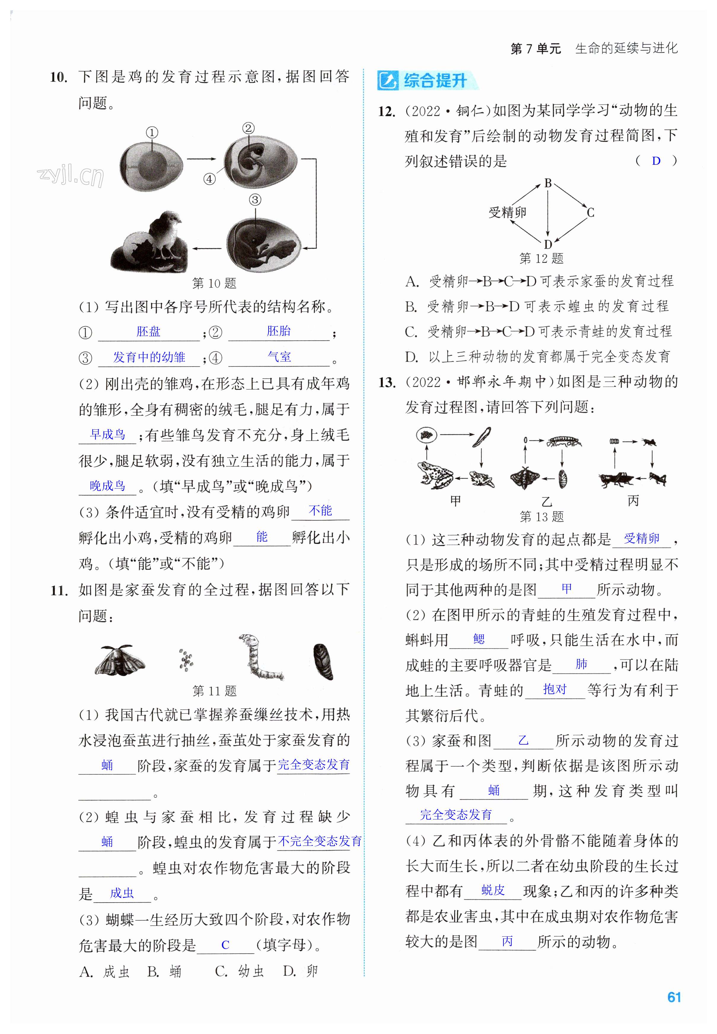 第61頁