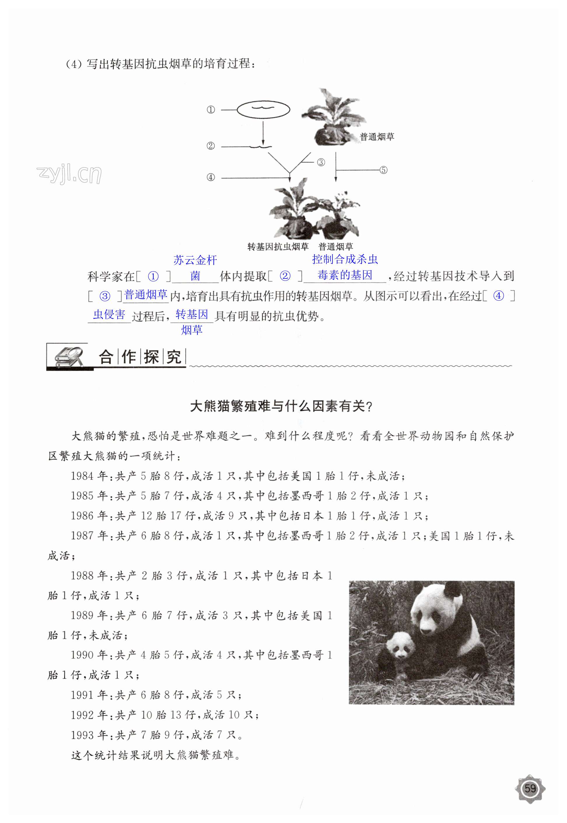 第59頁