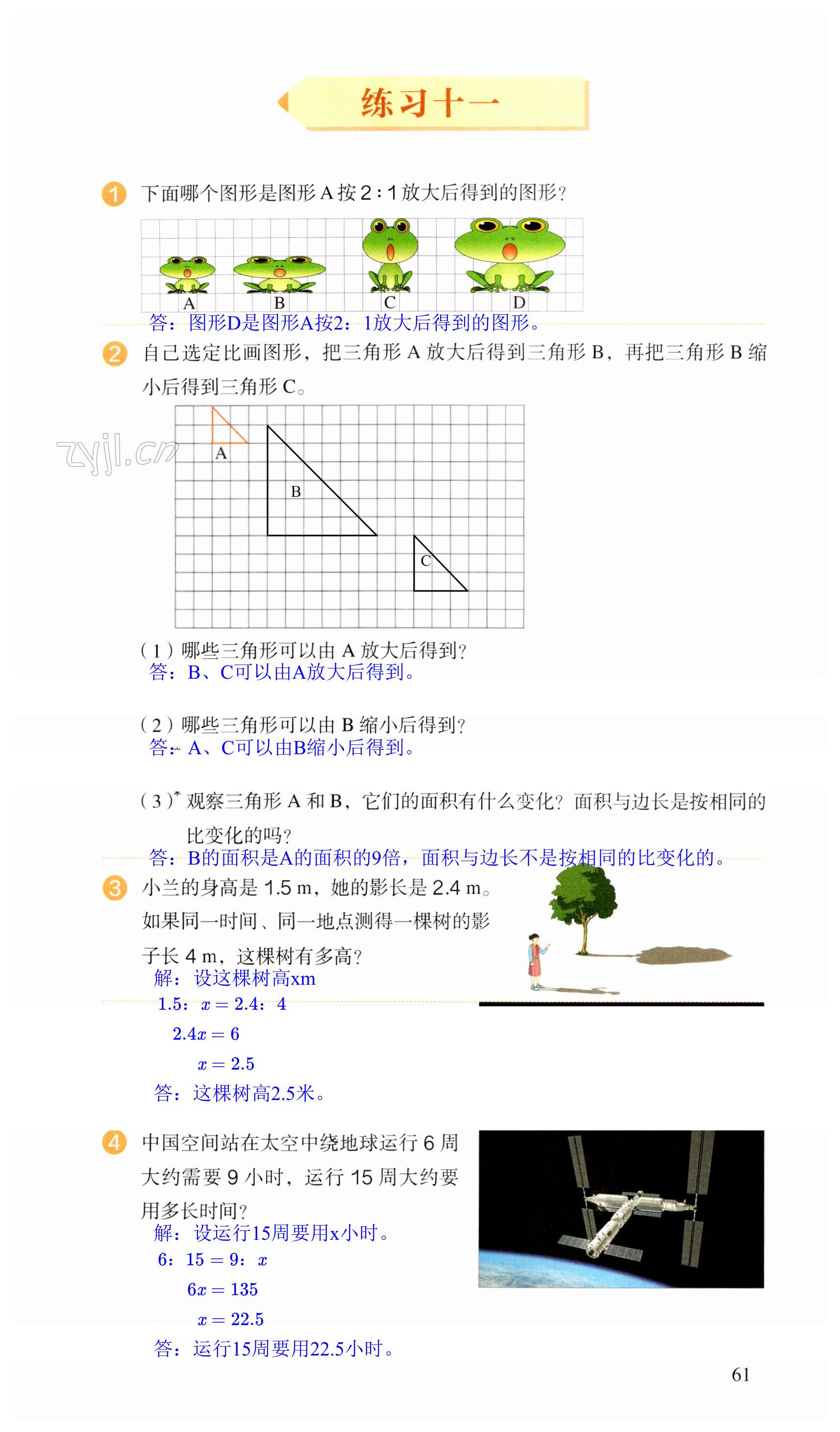 第61頁