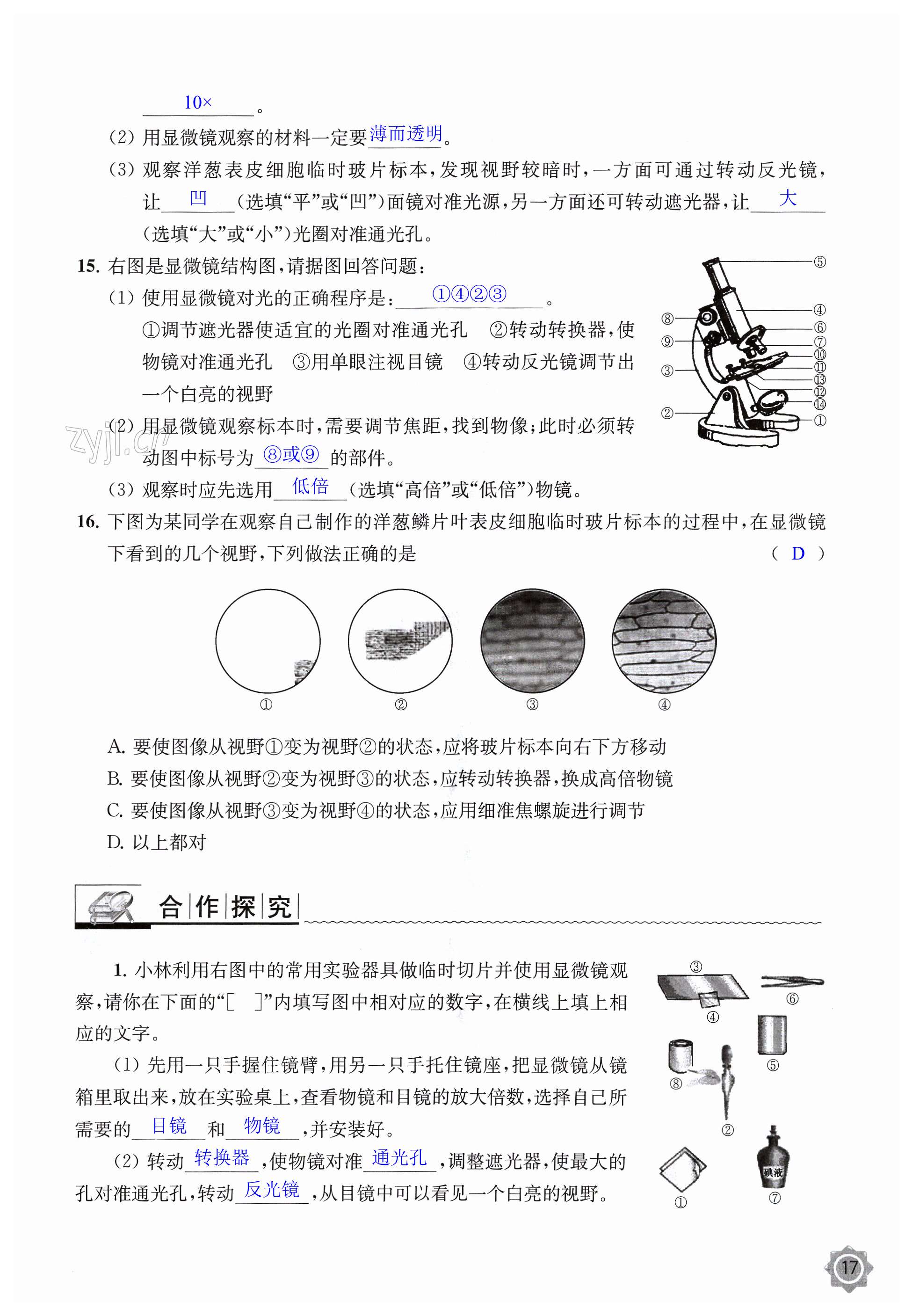 第17頁