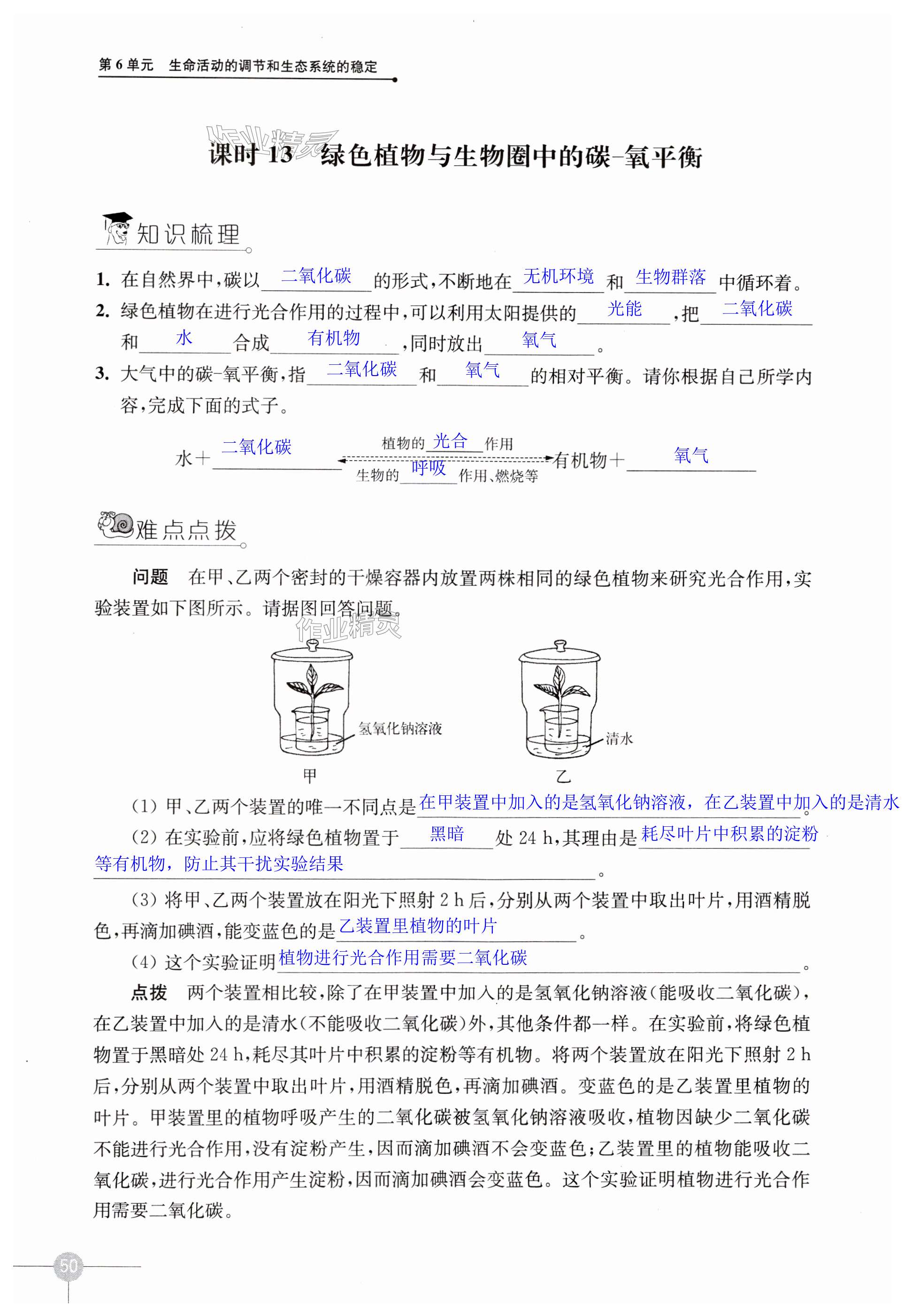 第50頁