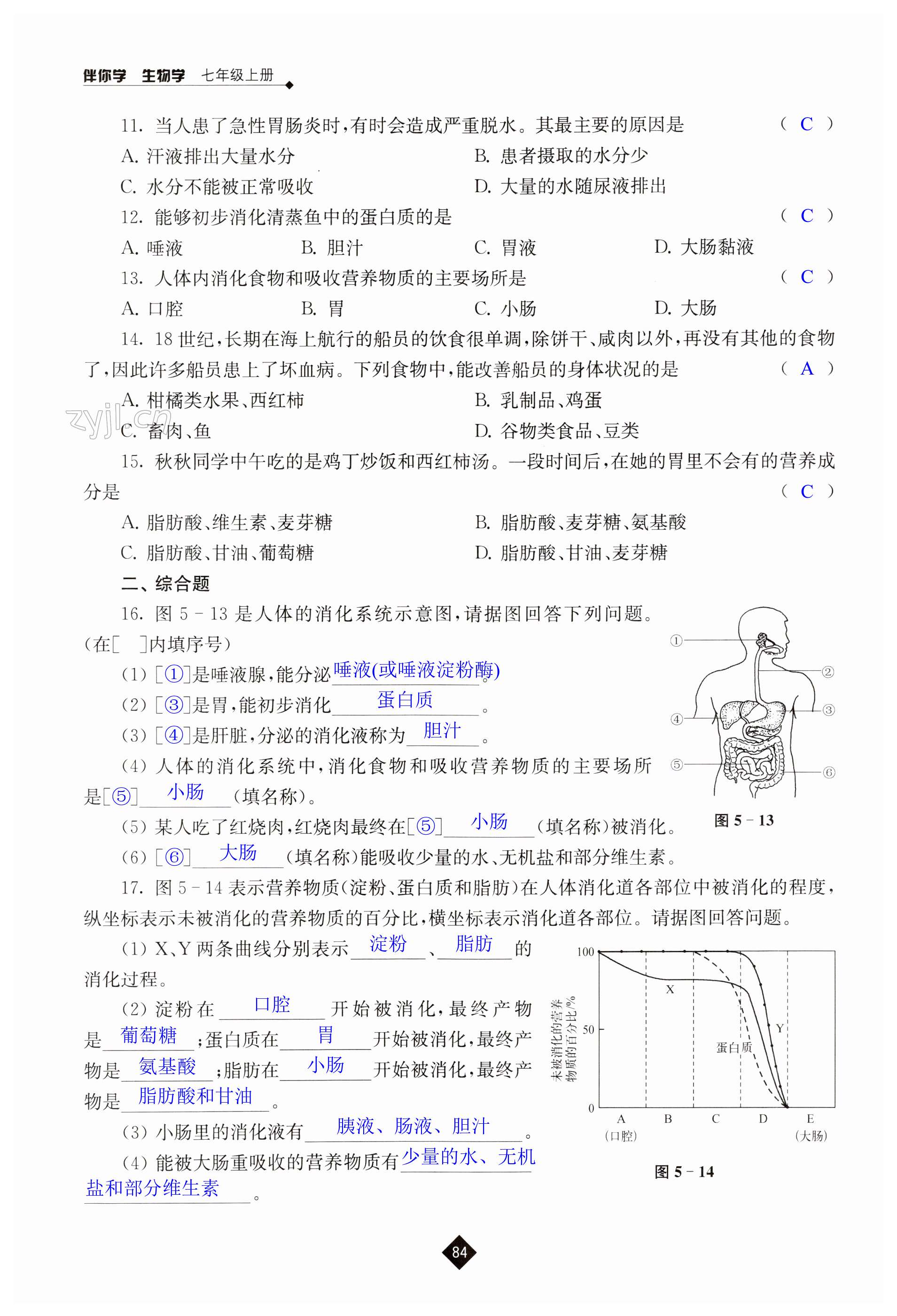 第84頁